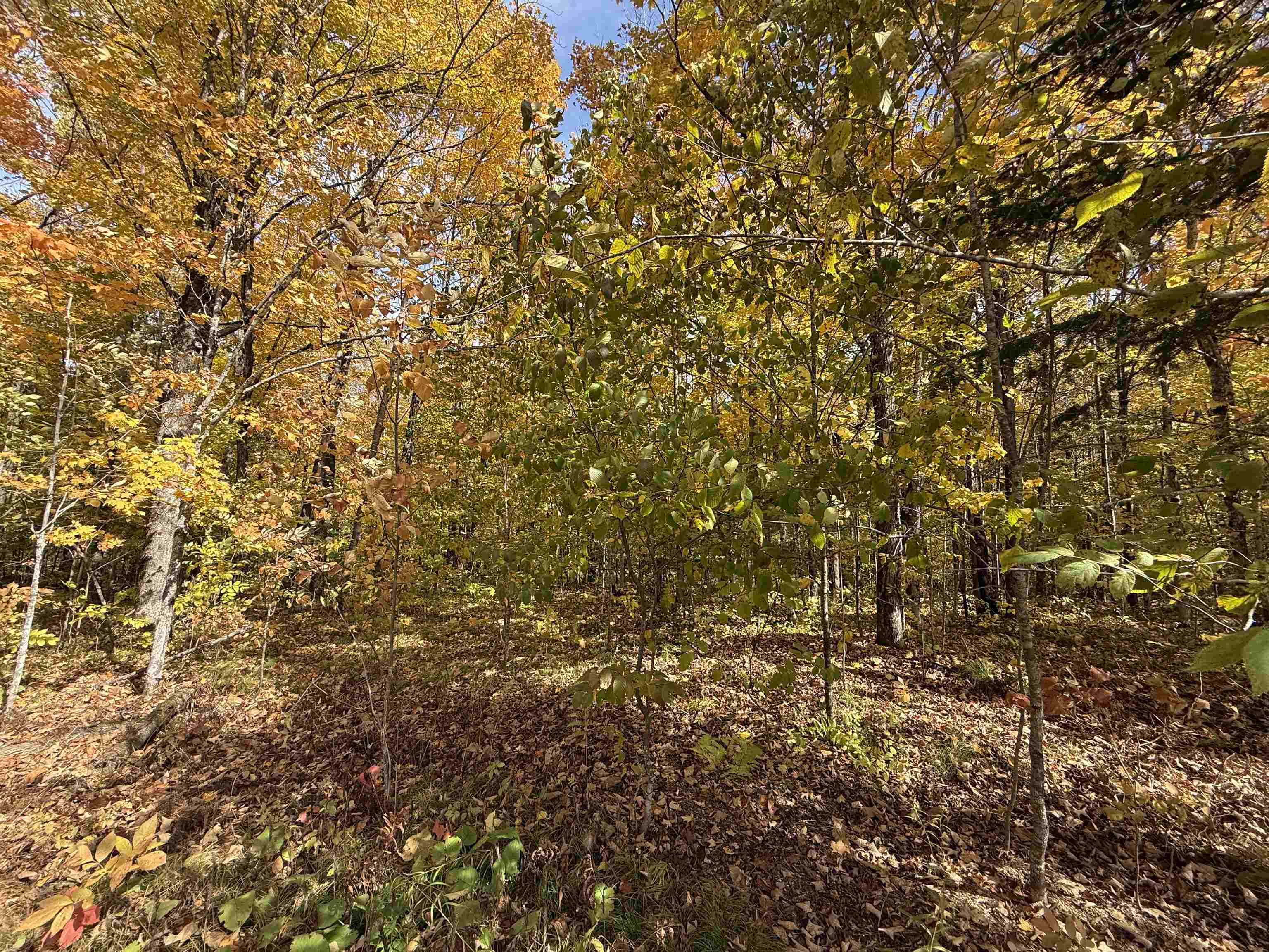 W11779 County Road W Property Photo 9
