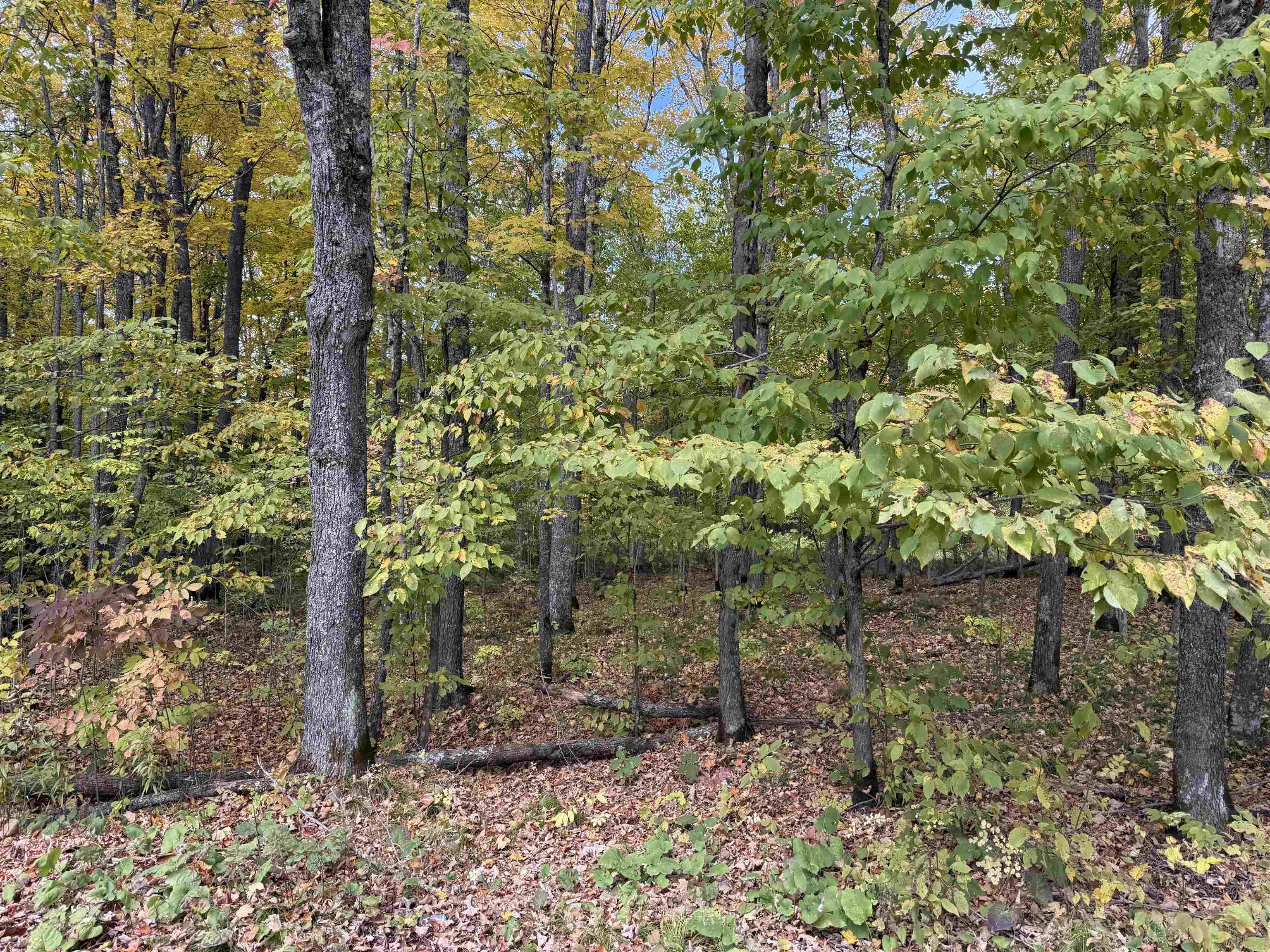 W11779 County Road W Property Photo 14