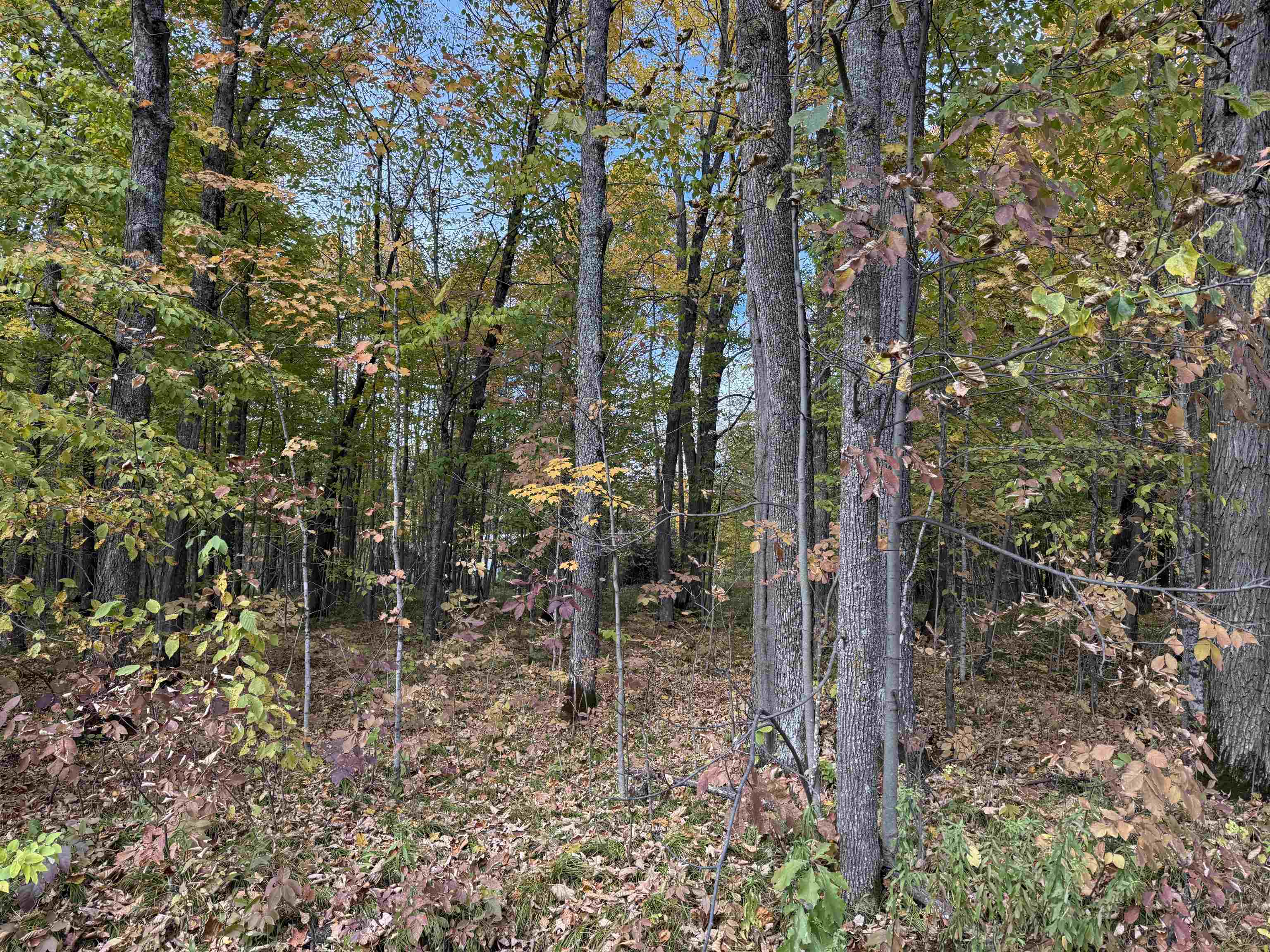 W11779 County Road W Property Photo 15