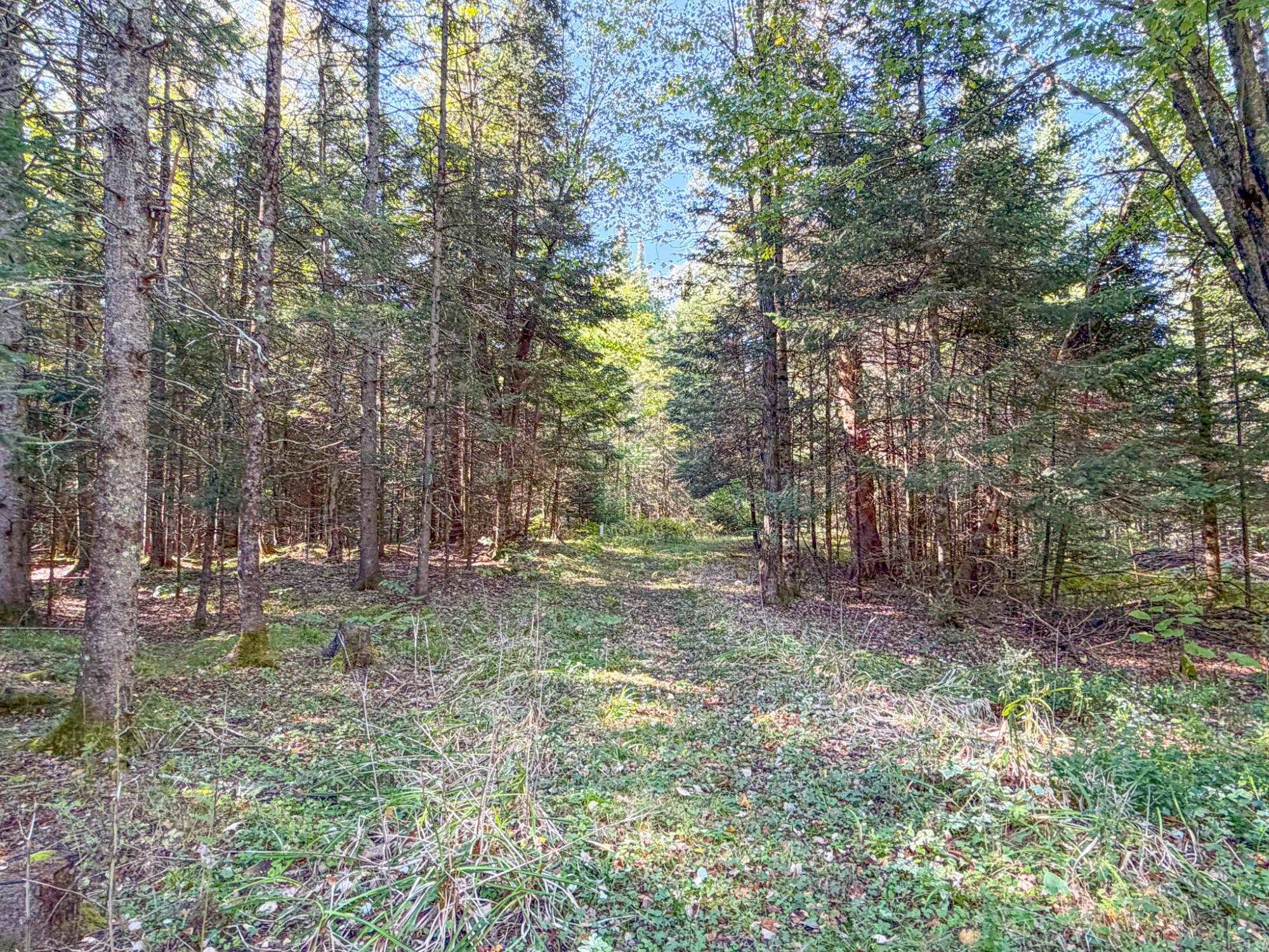 N13361 Hicks Landing Road Property Photo 5