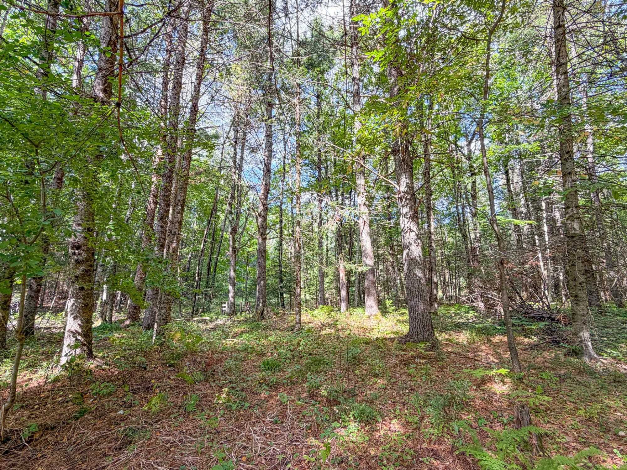 N13361 Hicks Landing Road Property Photo 6