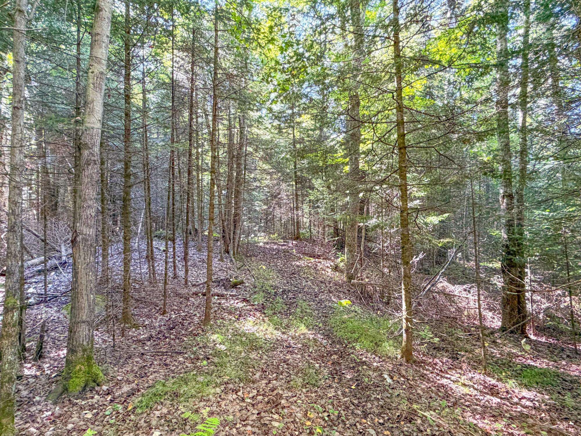 N13361 Hicks Landing Road Property Photo 47