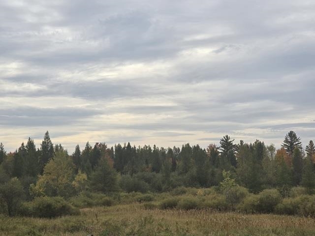 W4735 Saari Road Property Photo 5