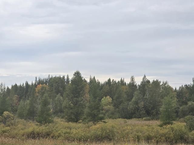 W4735 Saari Road Property Photo 6