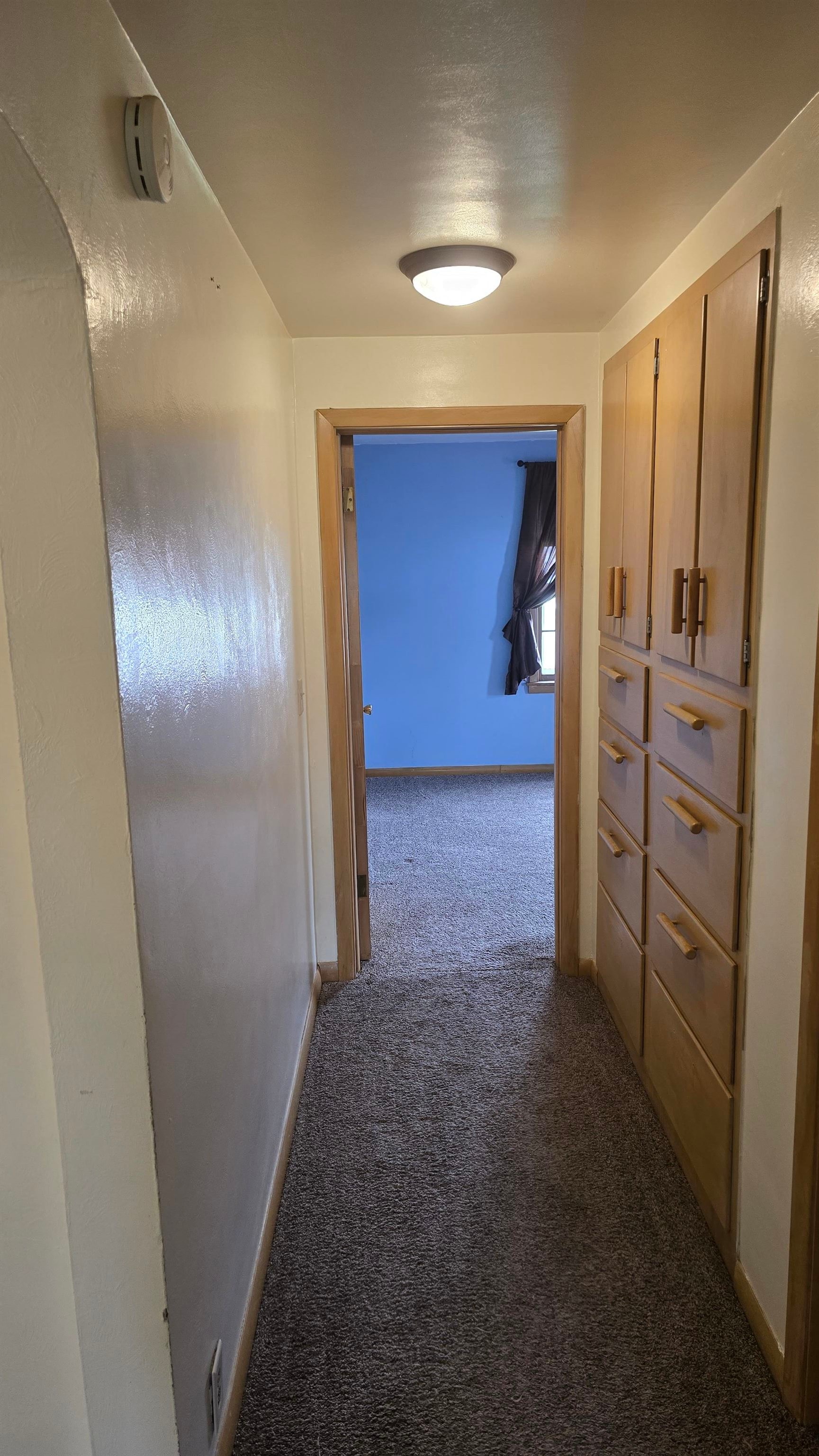 141 13th Street South Property Photo 18