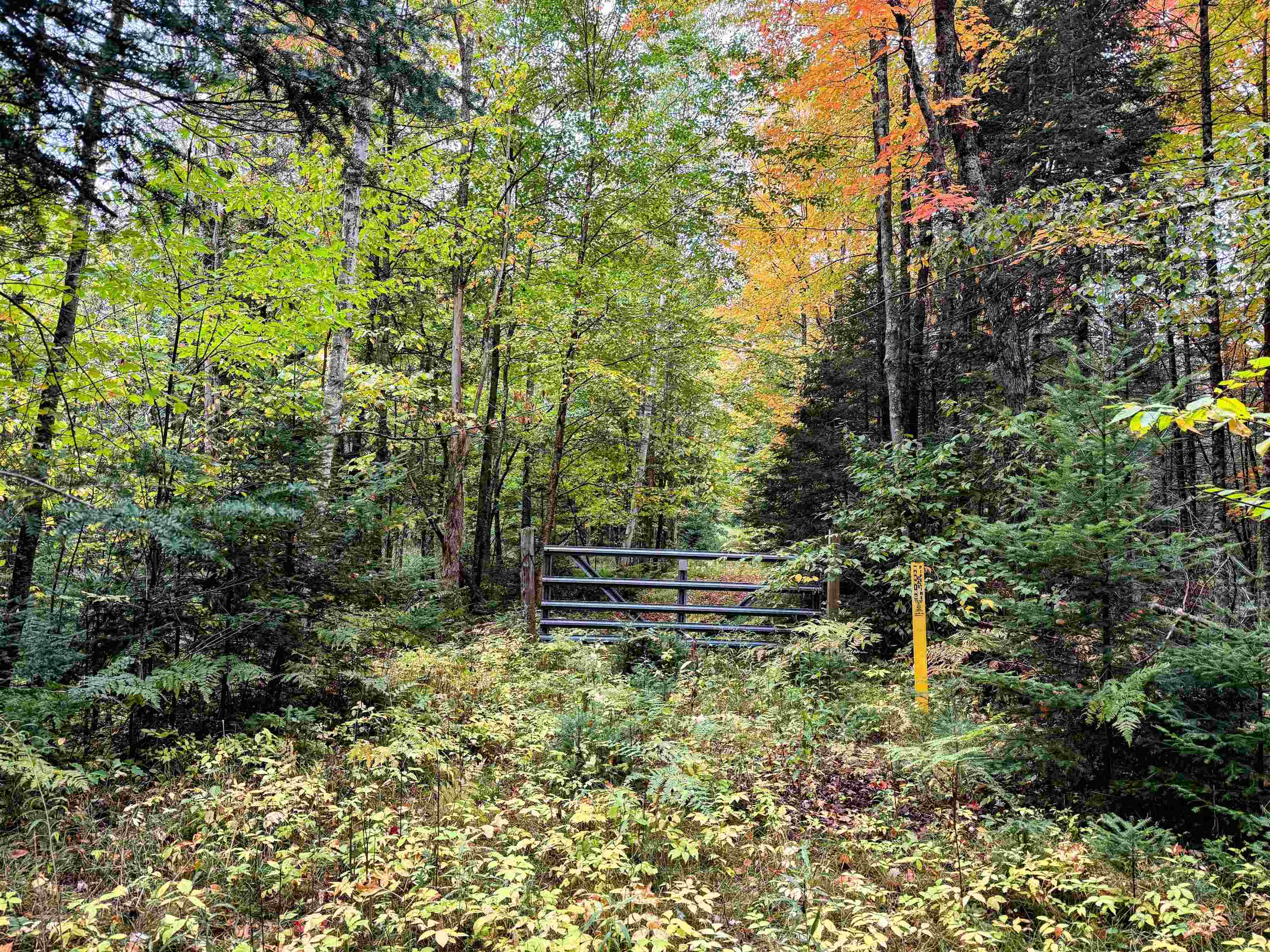 N16340 State Highway 13 Property Photo 7
