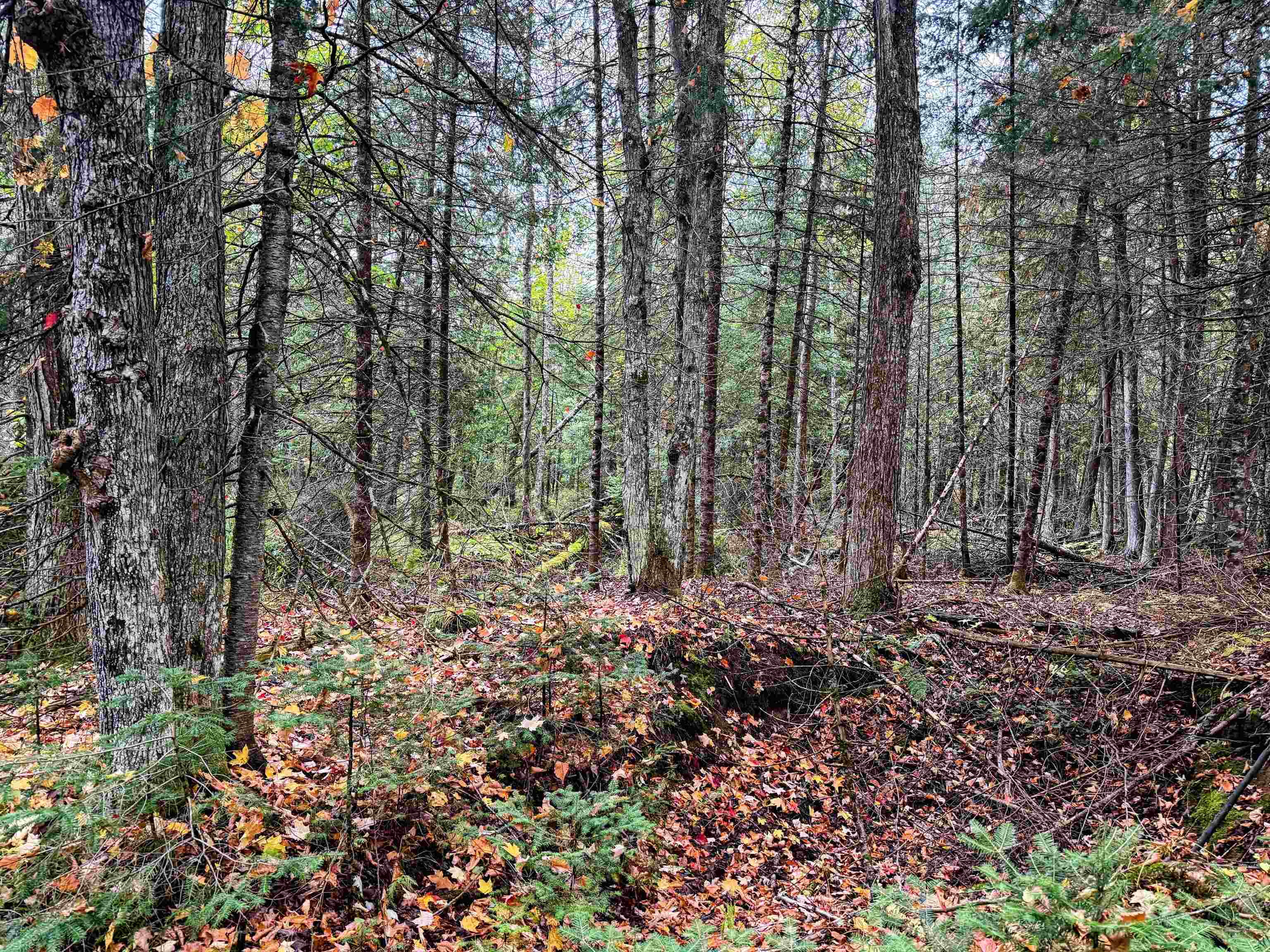 N16340 State Highway 13 Property Photo 9