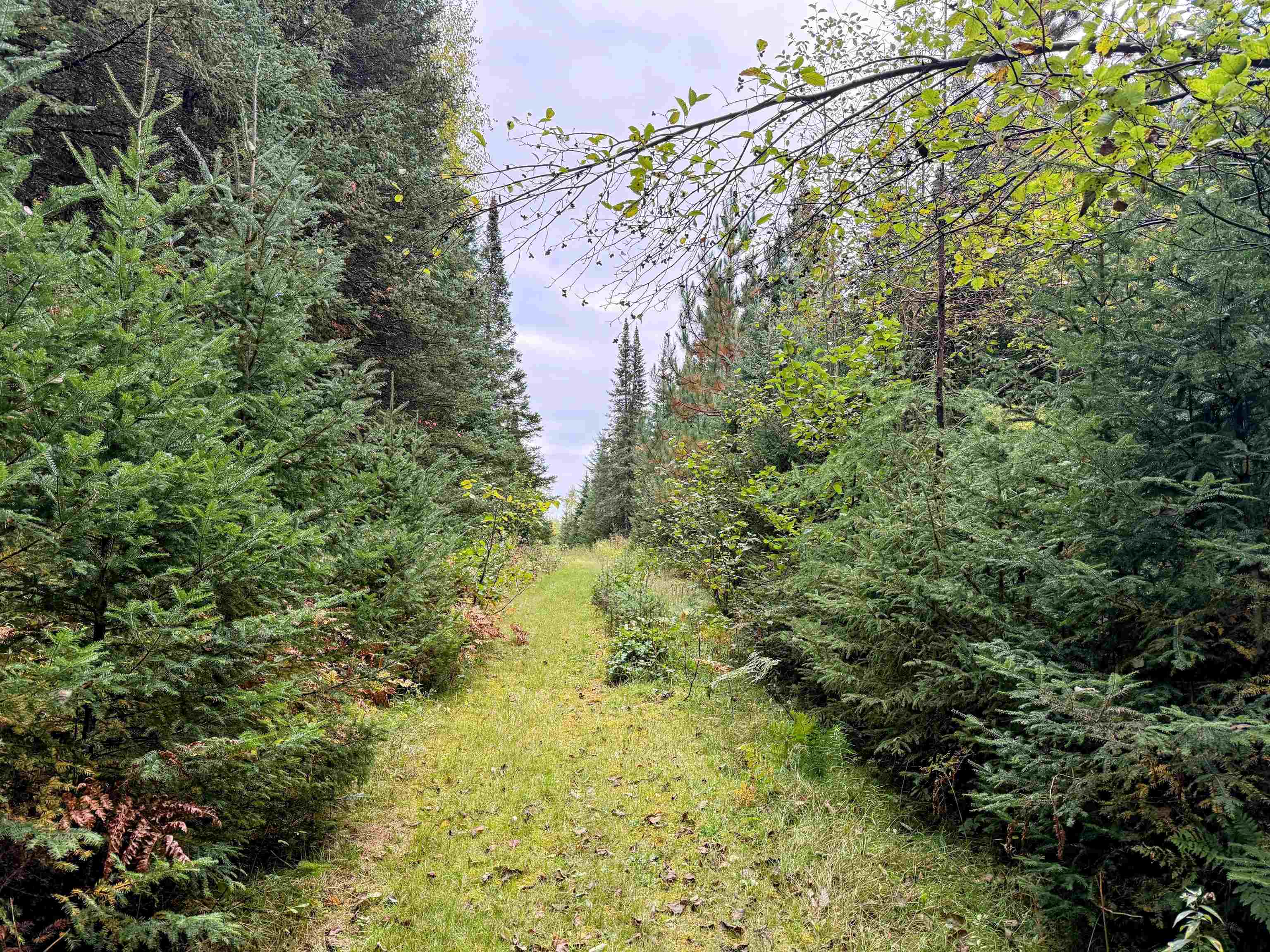 N16340 State Highway 13 Property Photo 11