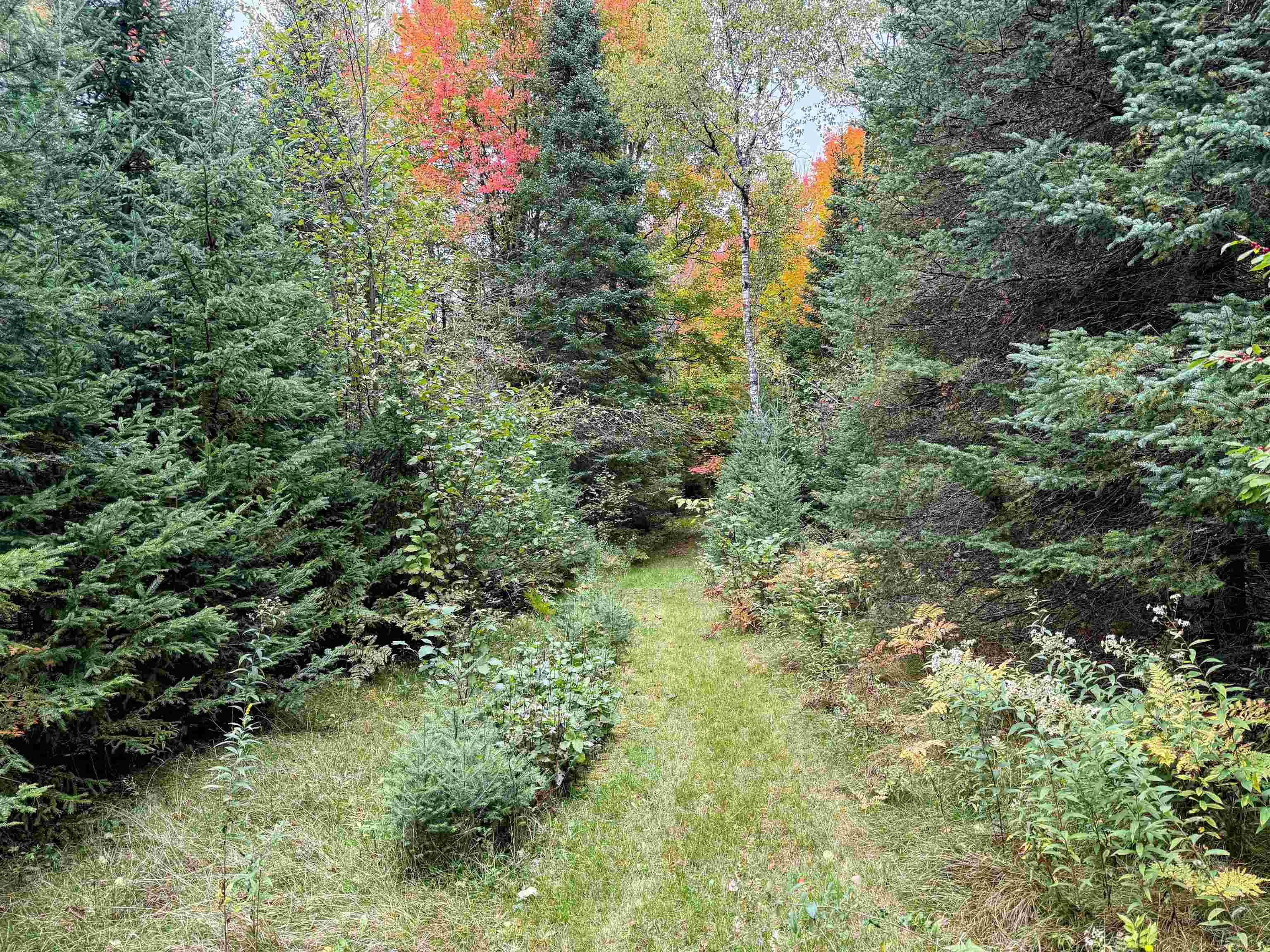 N16340 State Highway 13 Property Photo 12