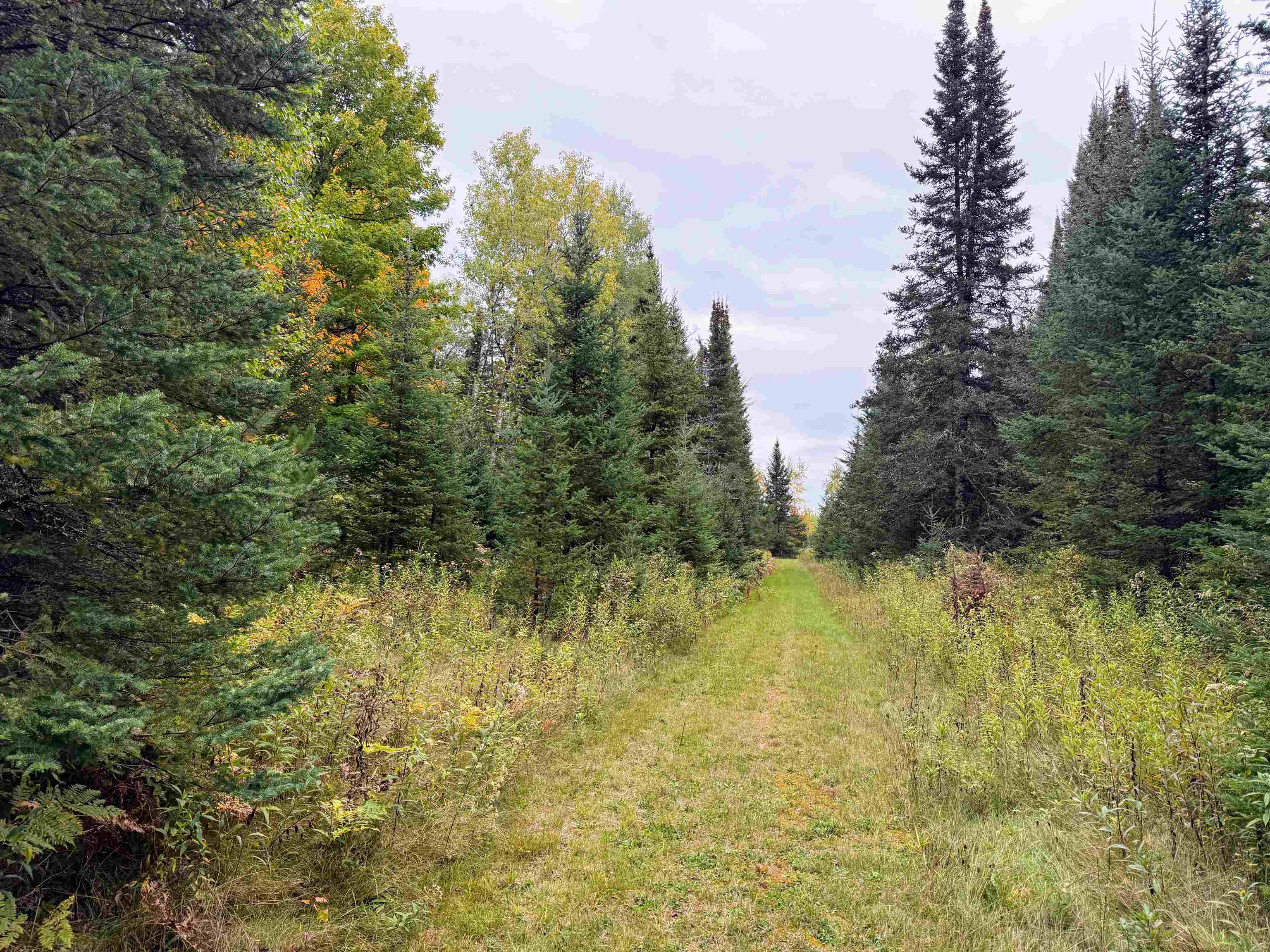 N16340 State Highway 13 Property Photo 13