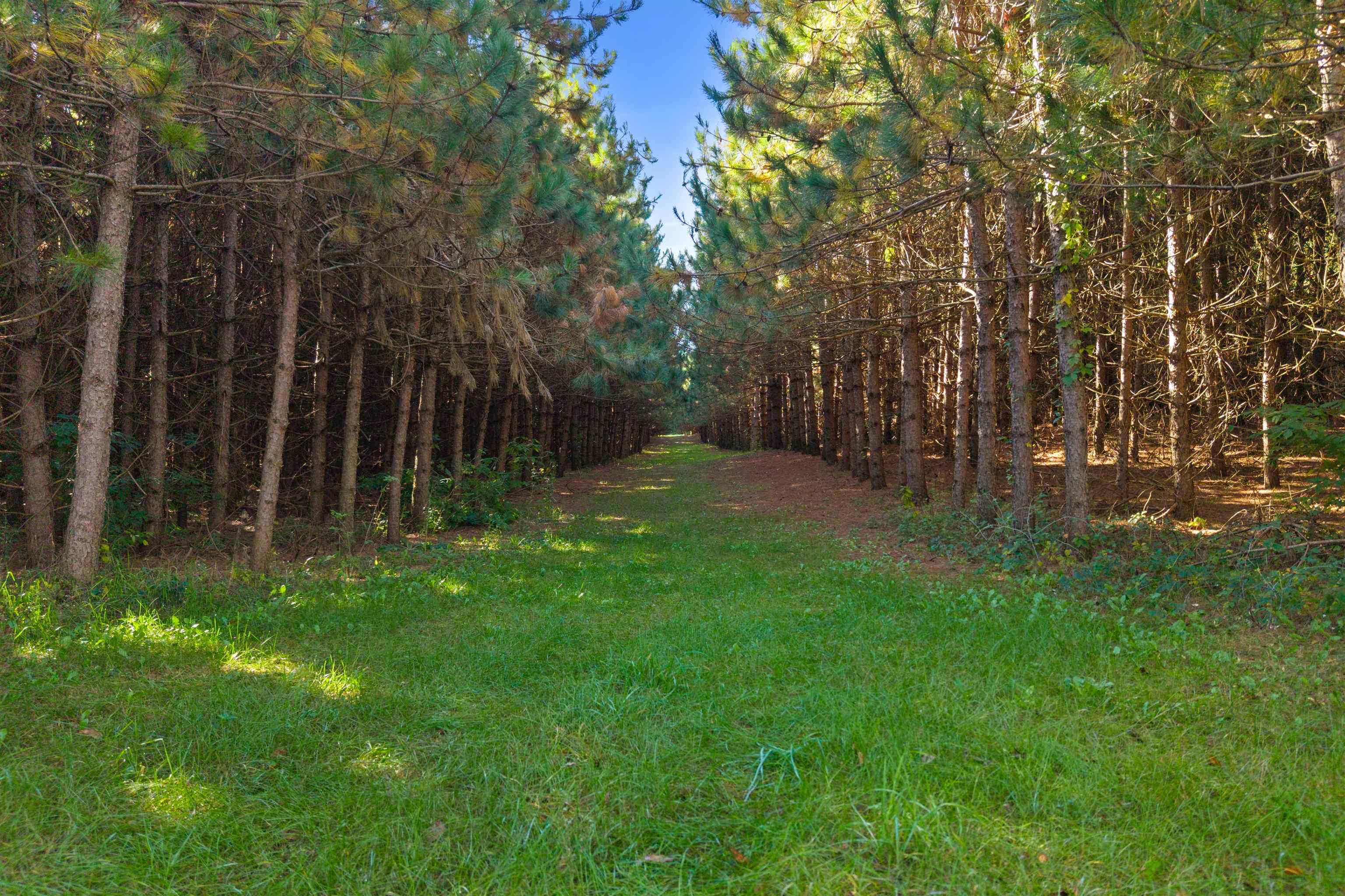 Lot 2 Merryland Drive Property Photo 8