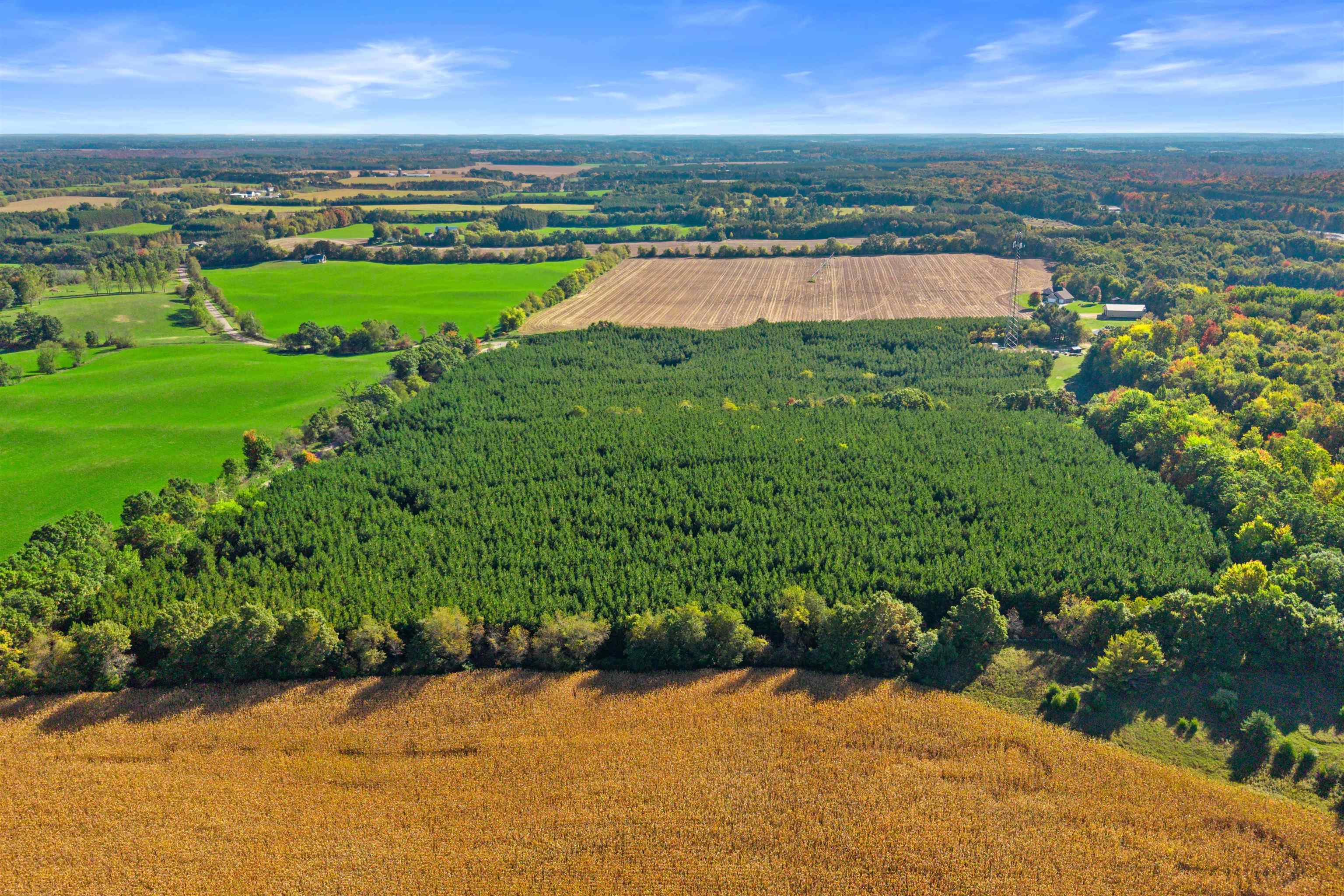 Lot 1 Merryland Drive Property Photo 4
