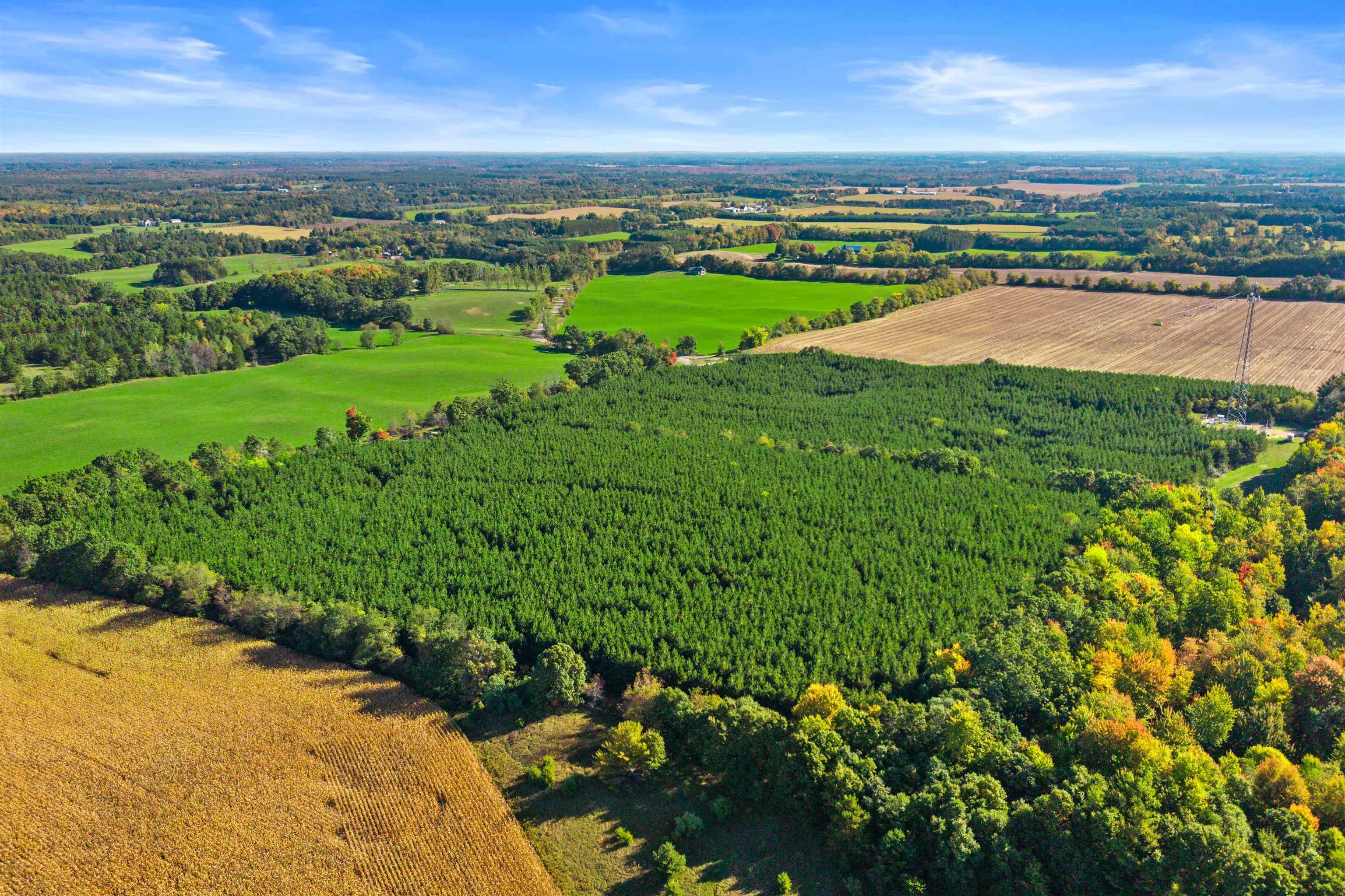 Lot 1 Merryland Drive Property Photo 5