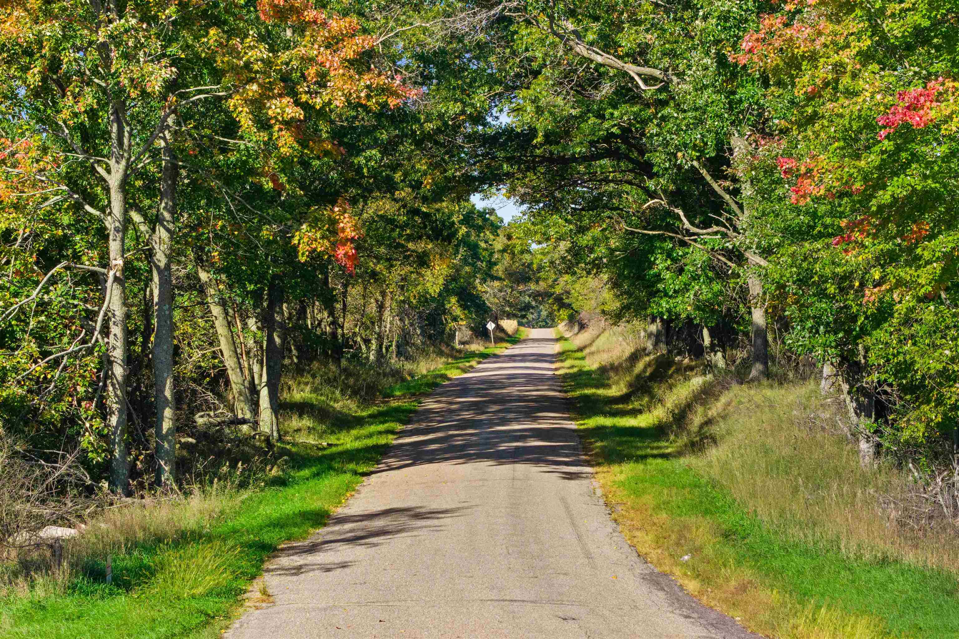 Lot 1 Merryland Drive Property Photo 12