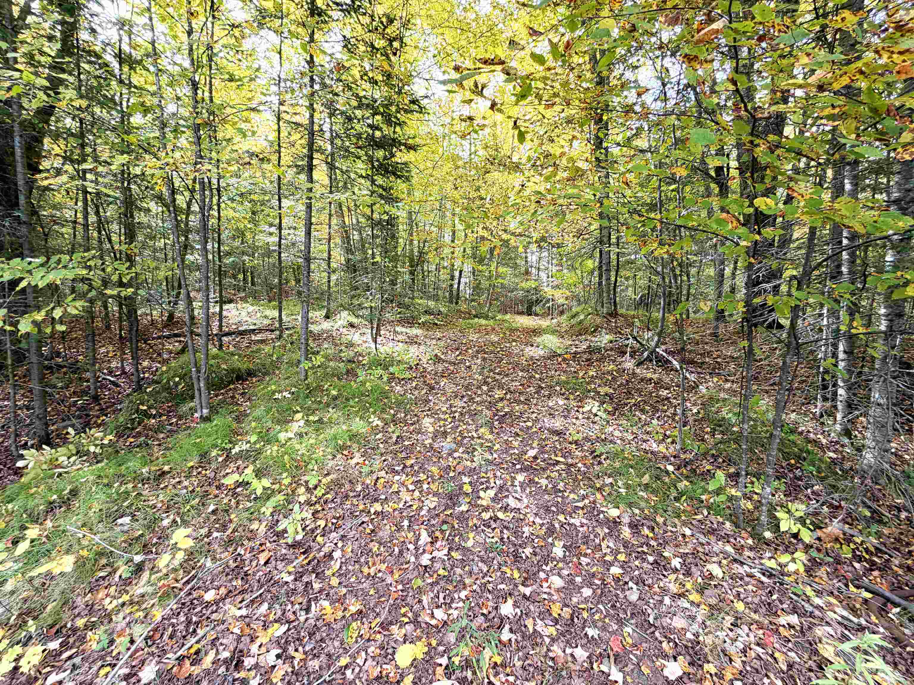 State Highway 64 East Property Photo 7