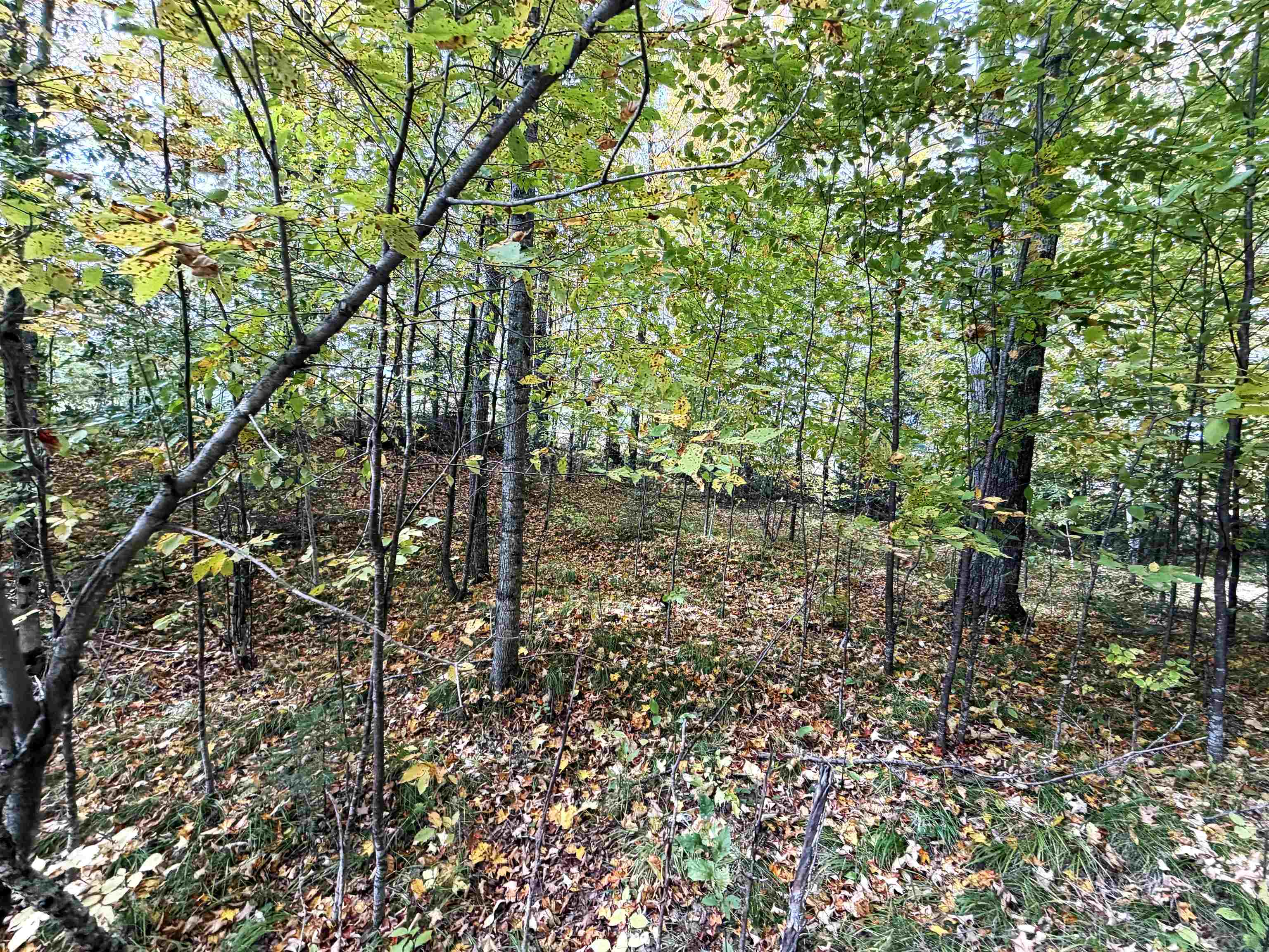 State Highway 64 East Property Photo 8
