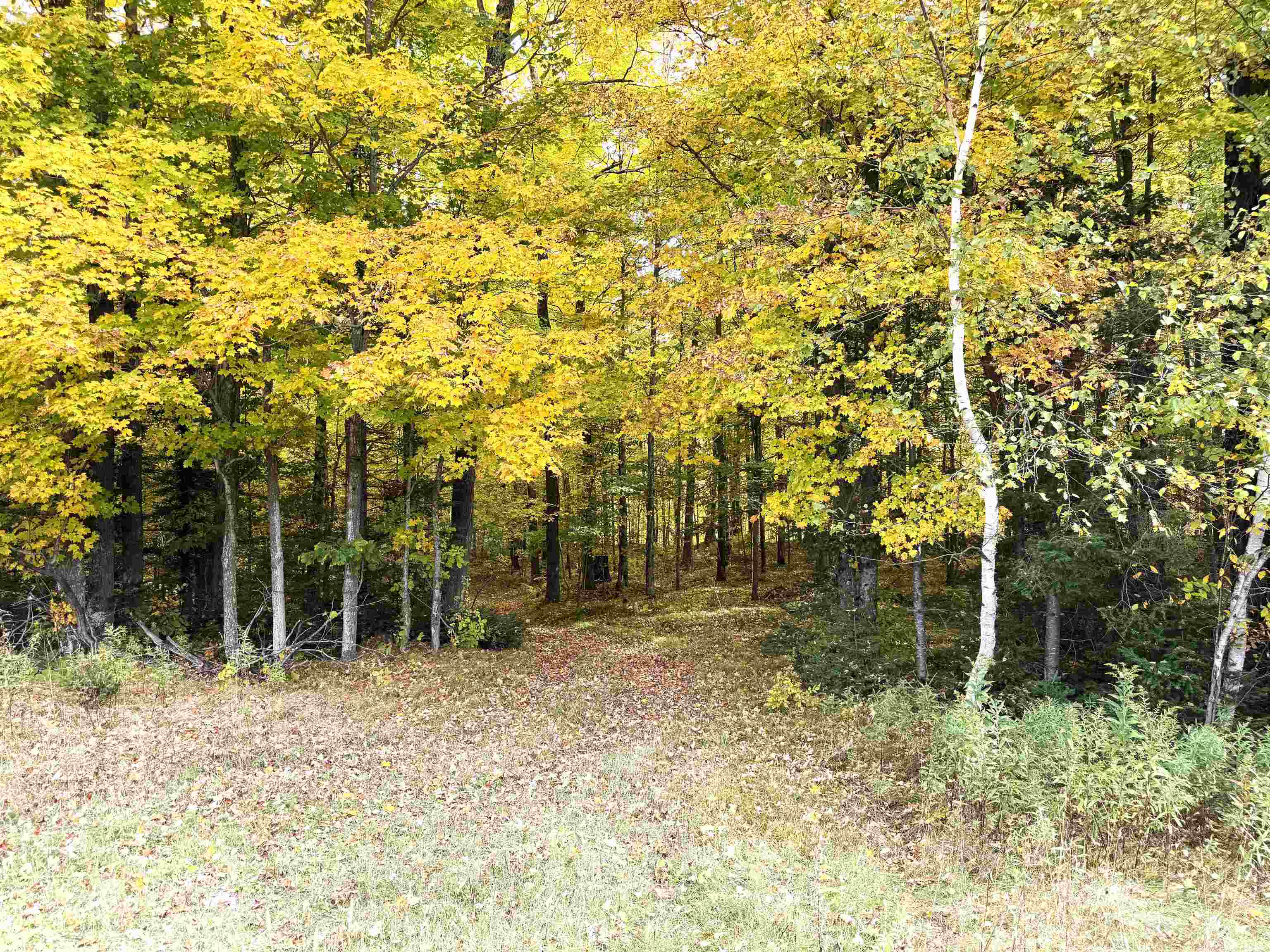 State Highway 64 East Property Photo 11