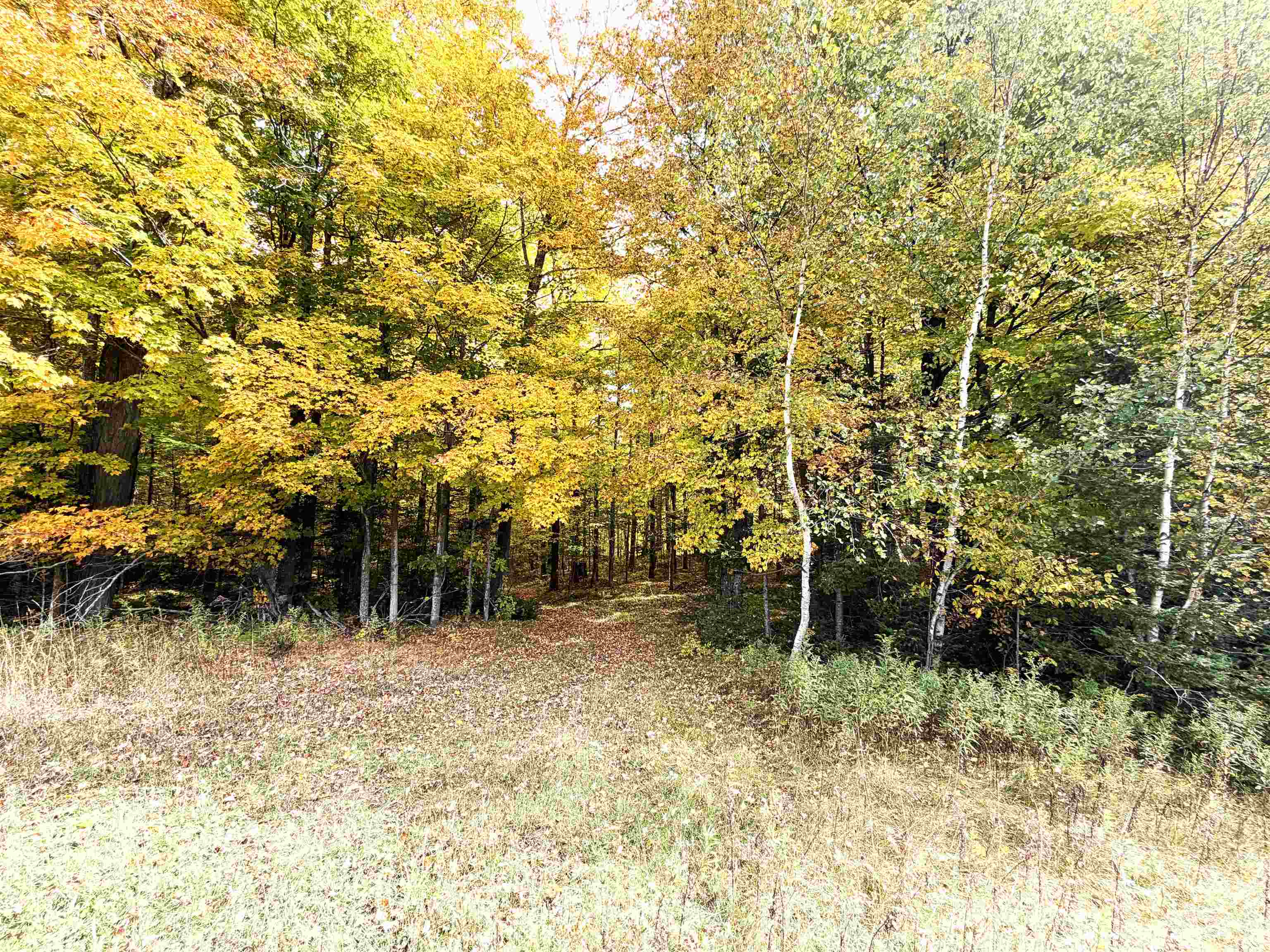 State Highway 64 East Property Photo 12