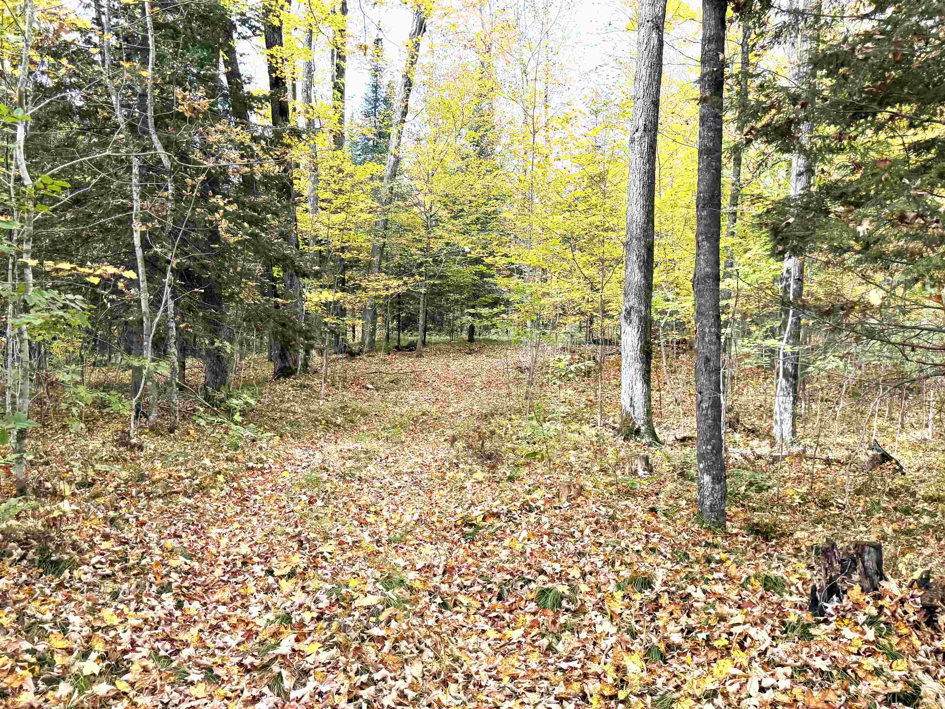 State Highway 64 East Property Photo 13