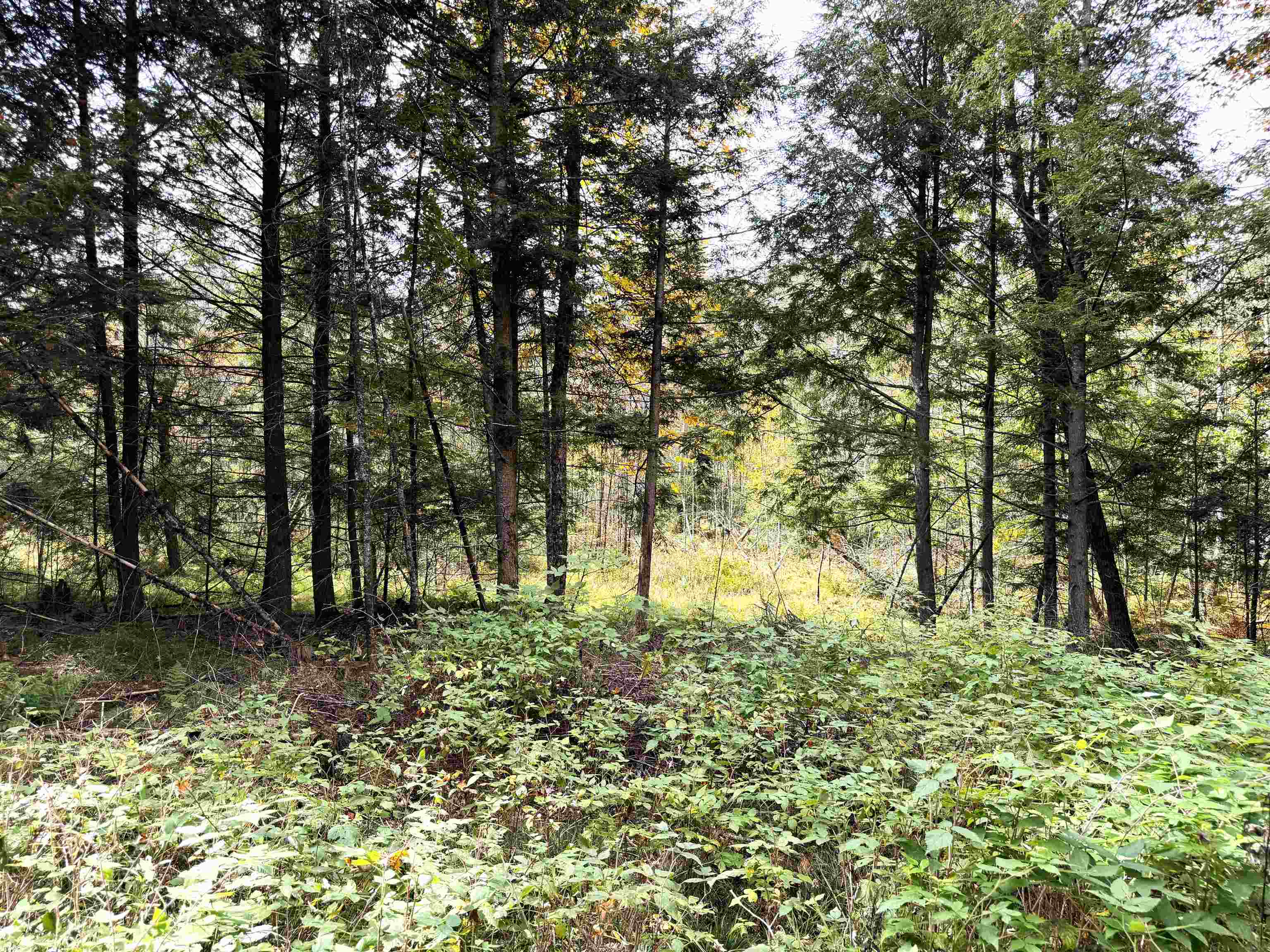 State Highway 64 East Property Photo 14