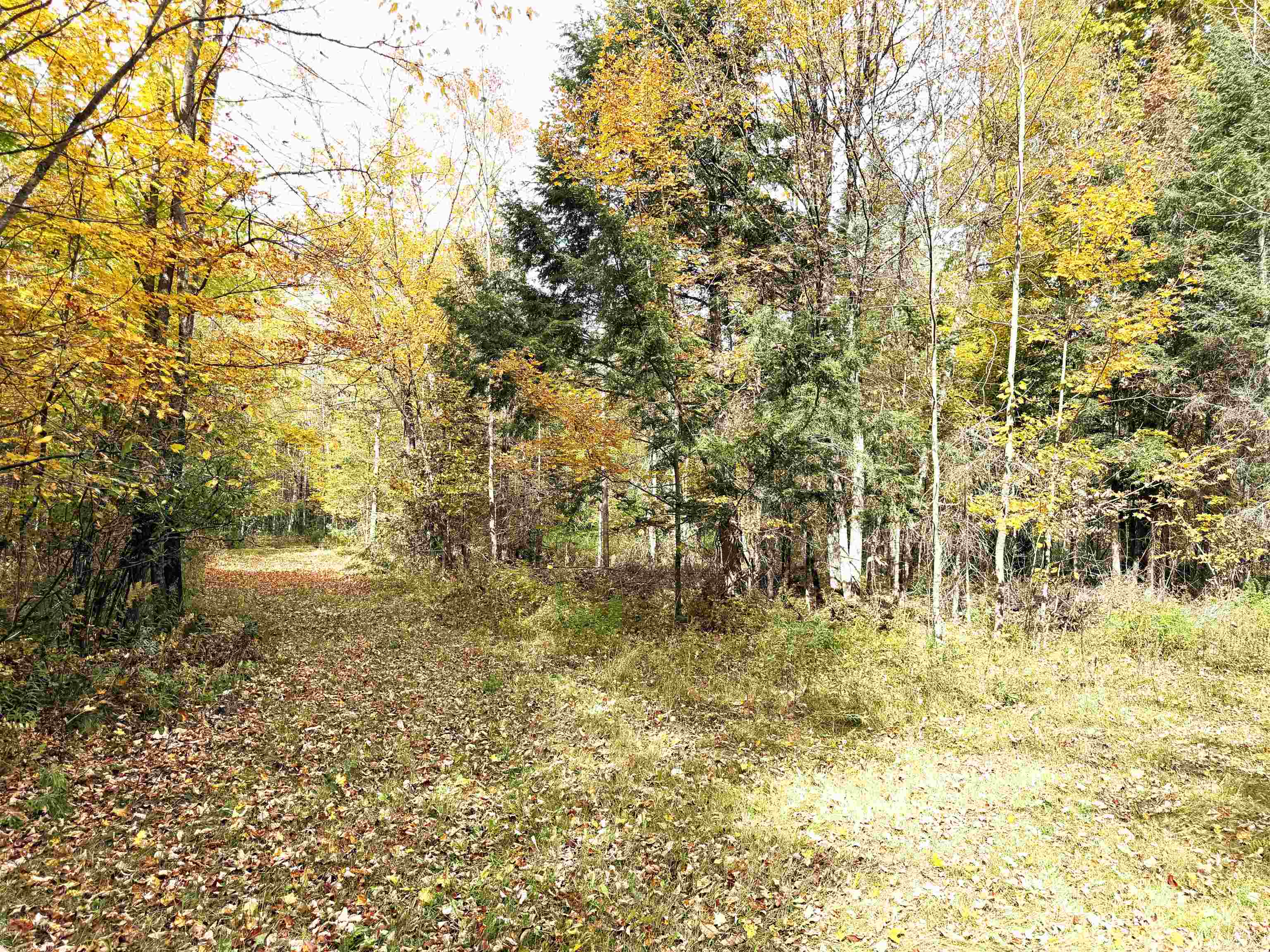 State Highway 64 East Property Photo 16