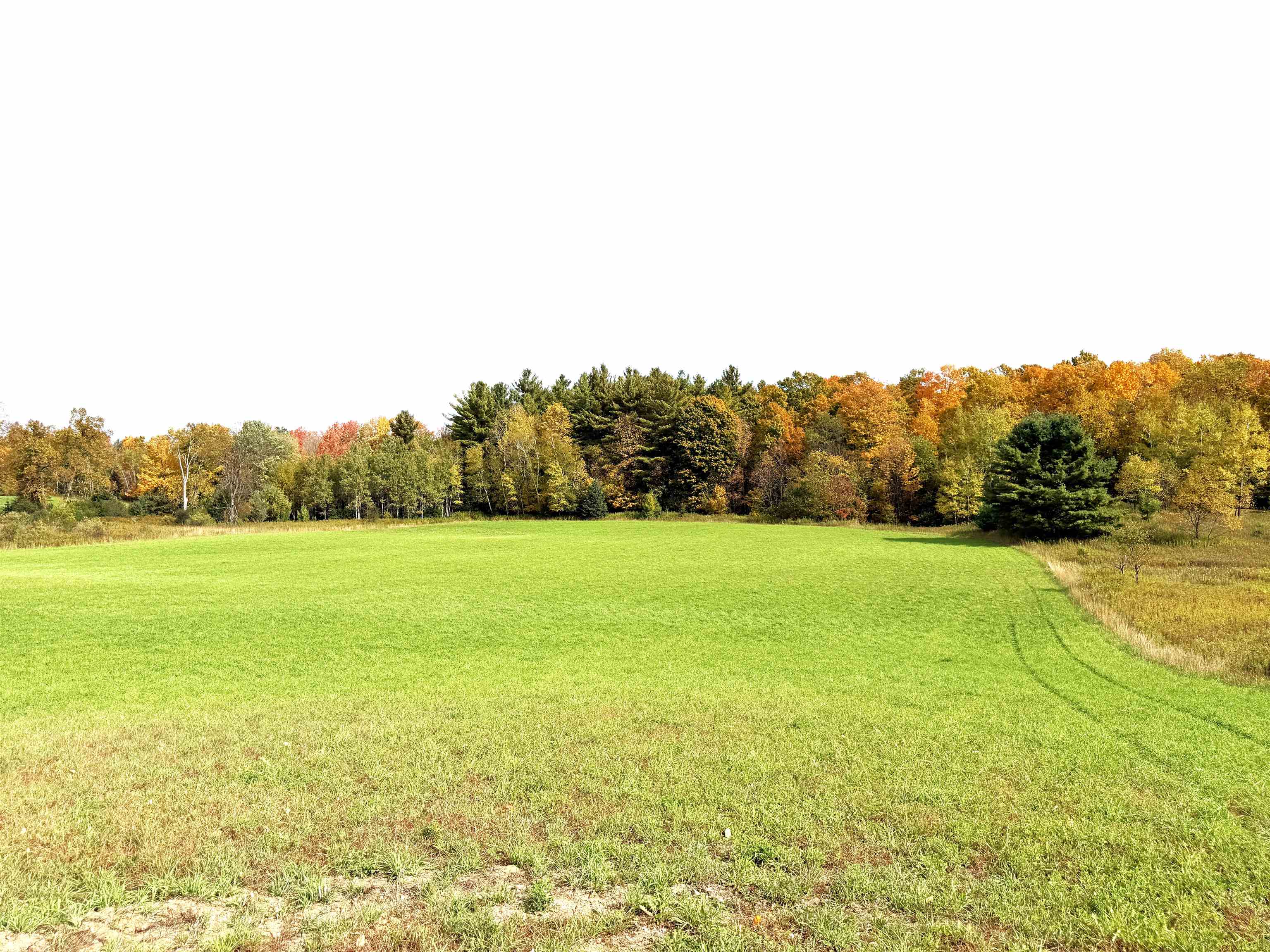 State Highway 64 East Property Photo 17