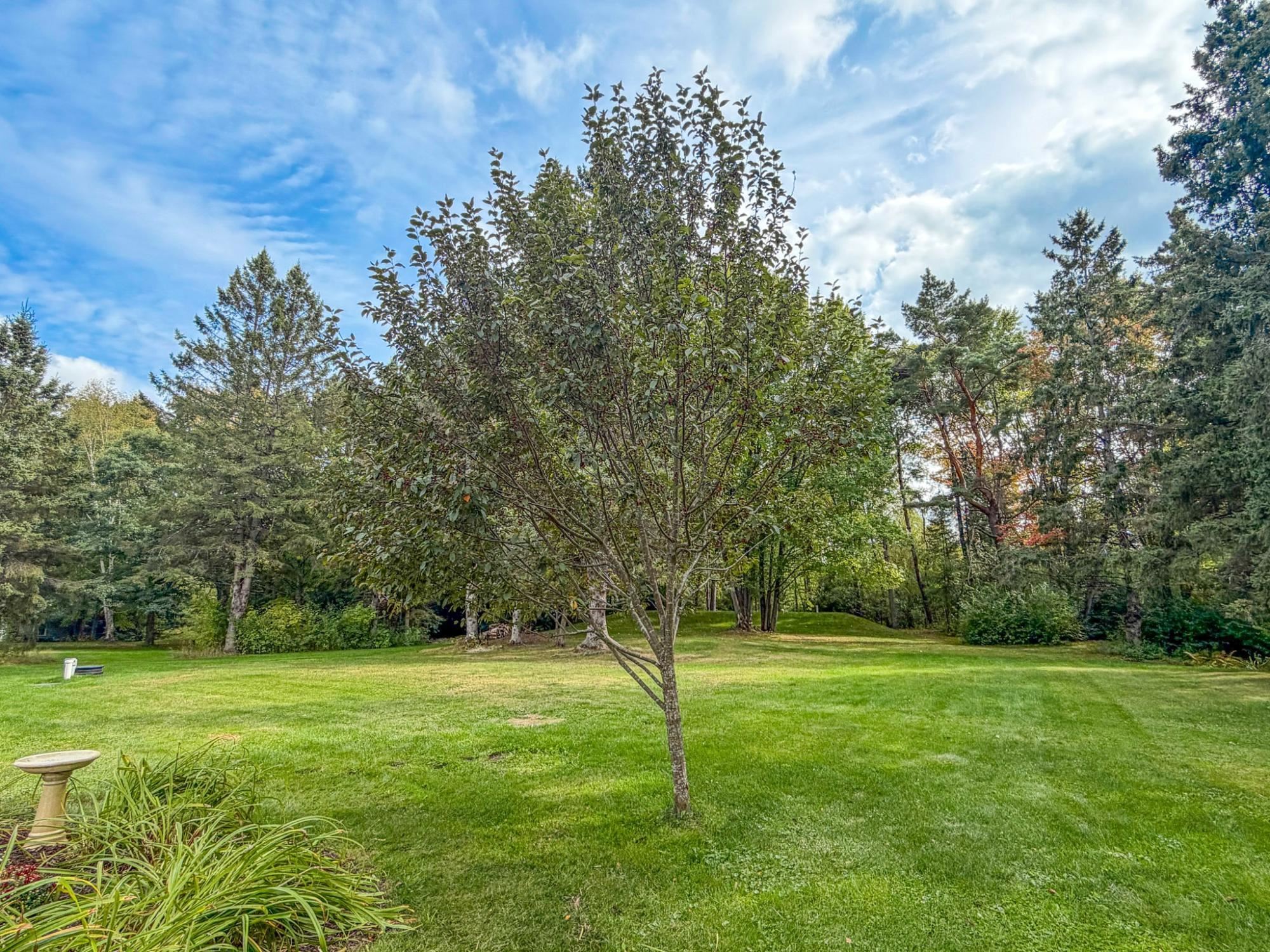 W6867 Cth D Property Photo 20