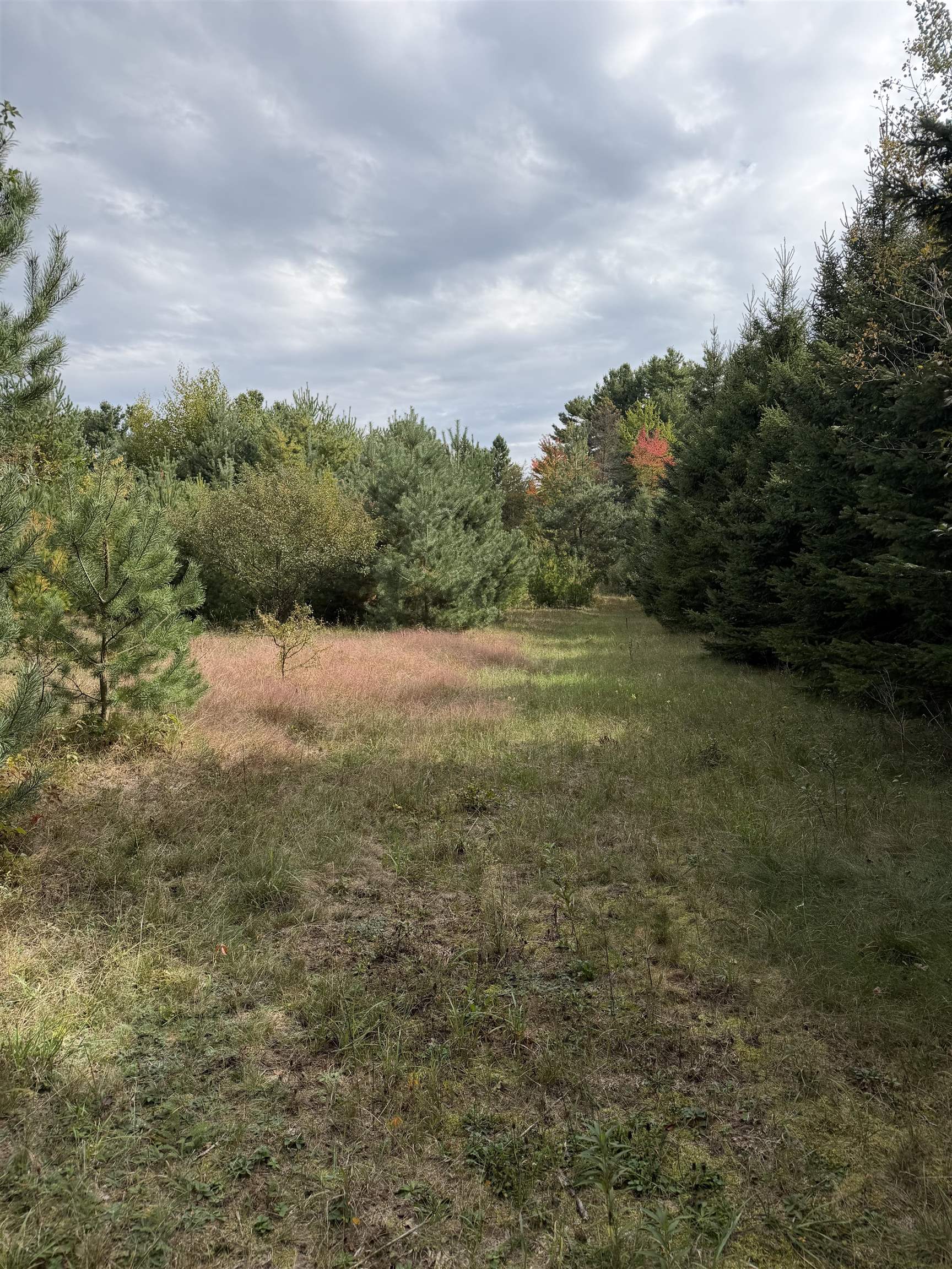 000 County Road Q Property Photo 4