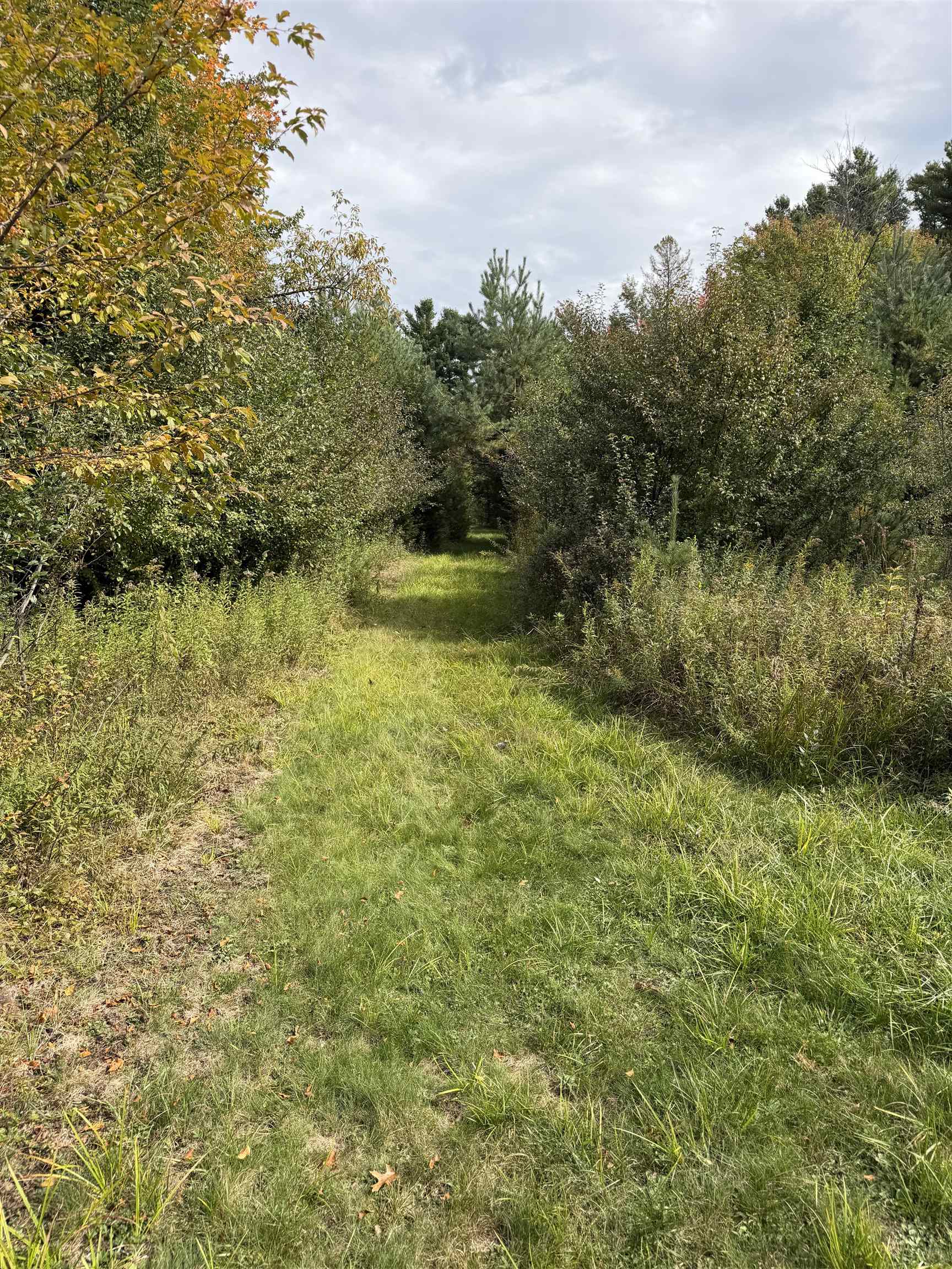 000 County Road Q Property Photo 8