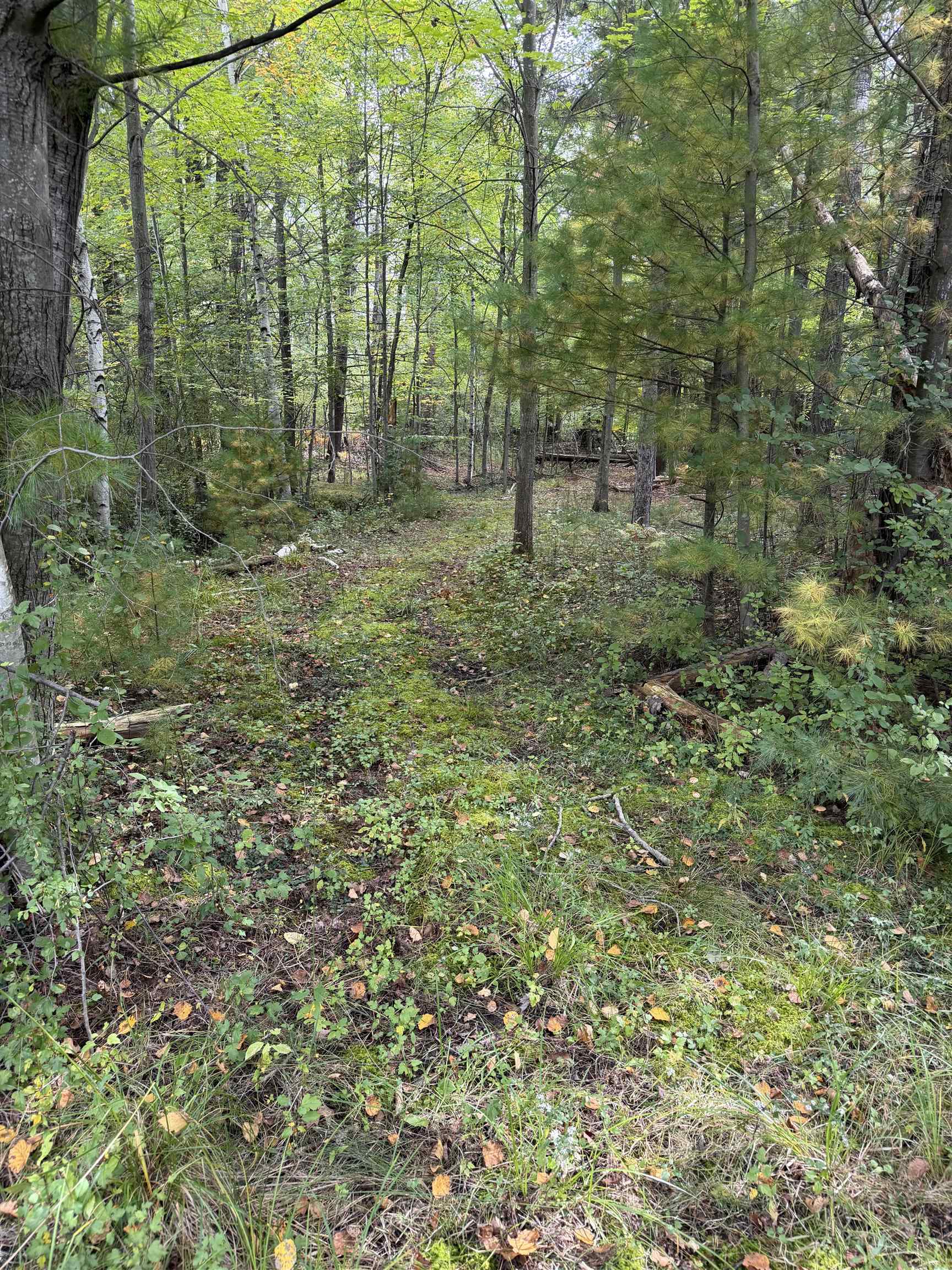 000 County Road Q Property Photo 10