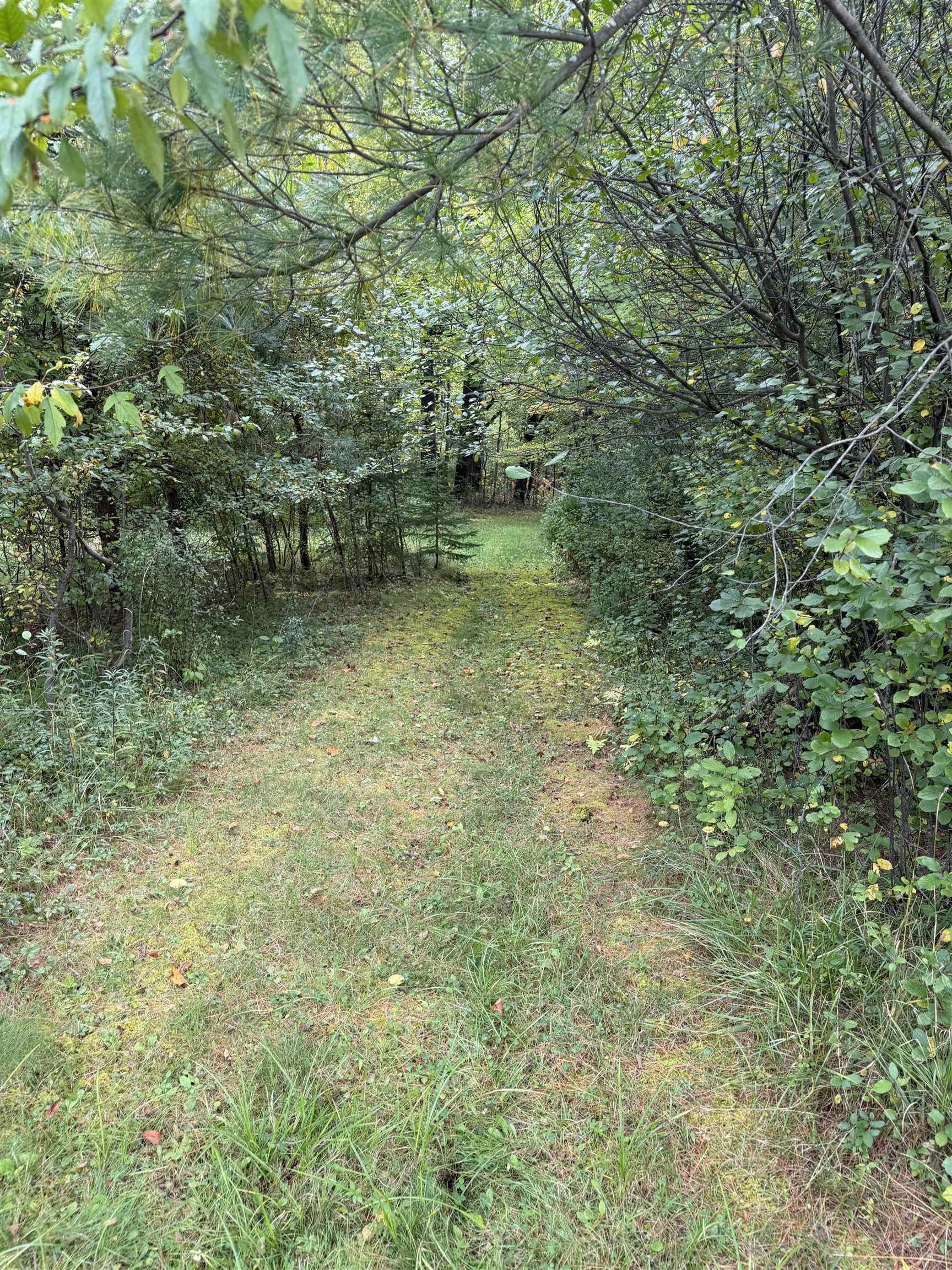 000 County Road Q Property Photo 13