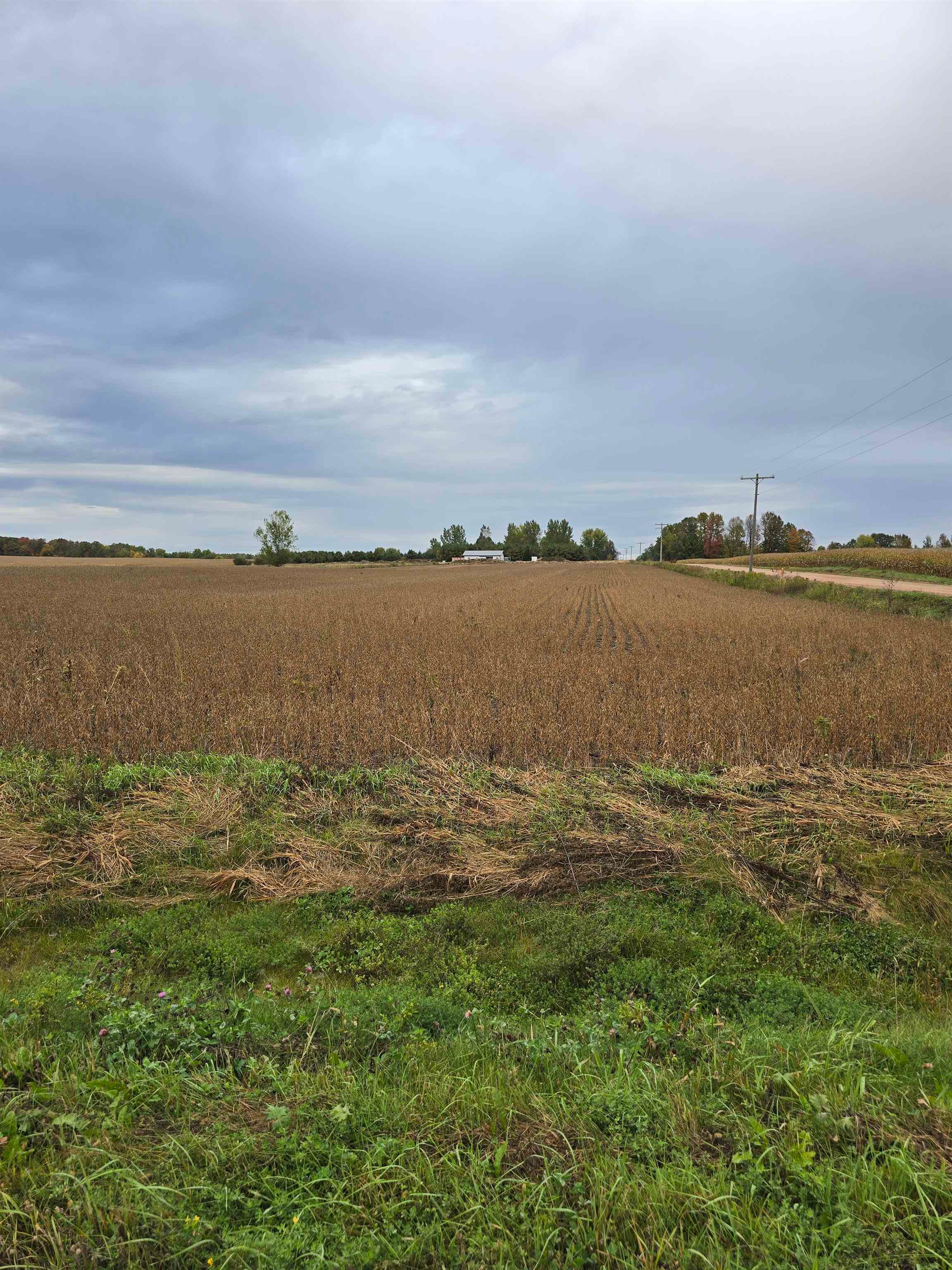 218098 Holtman Road Property Photo 12