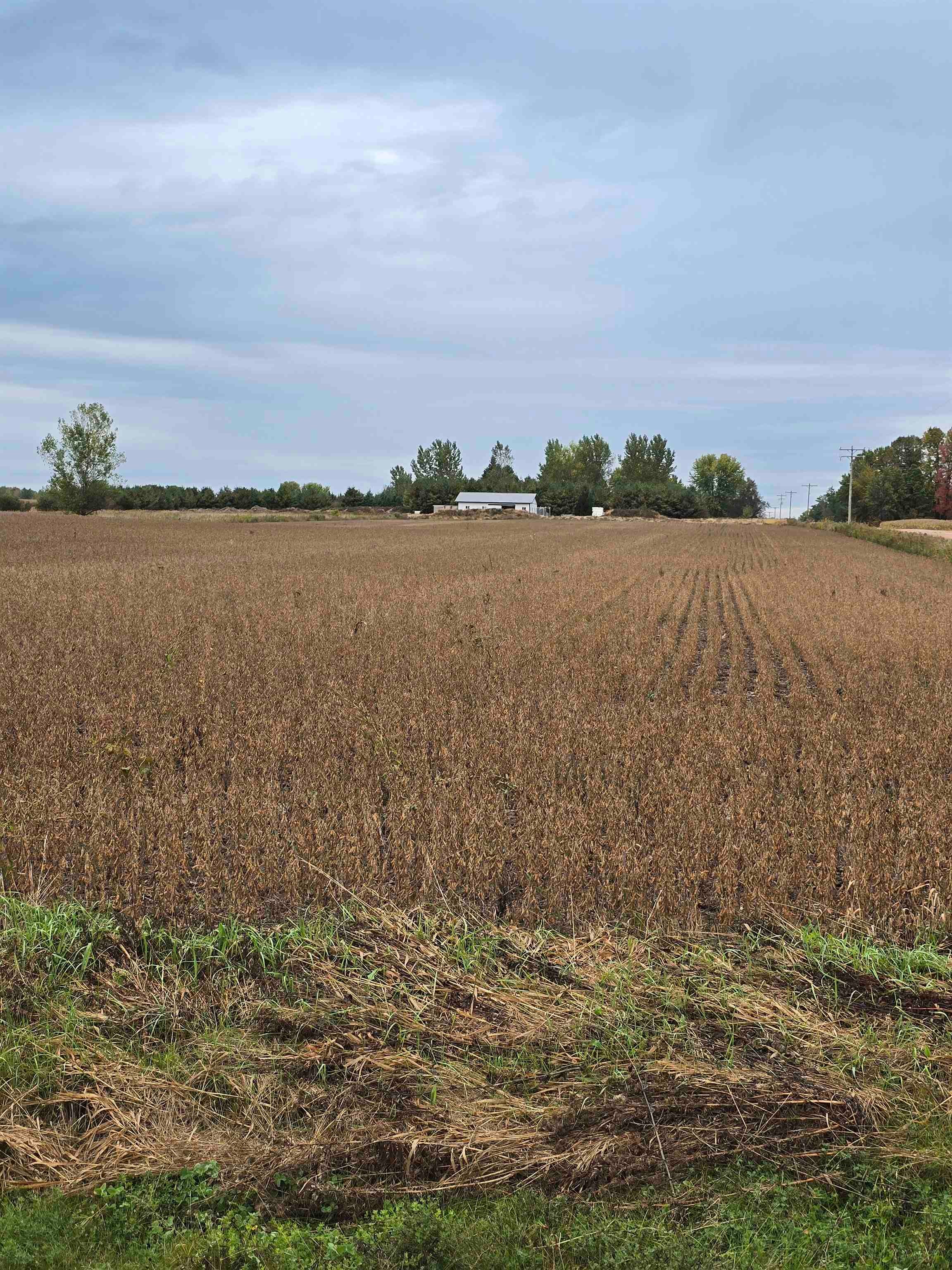 218098 Holtman Road Property Photo 13