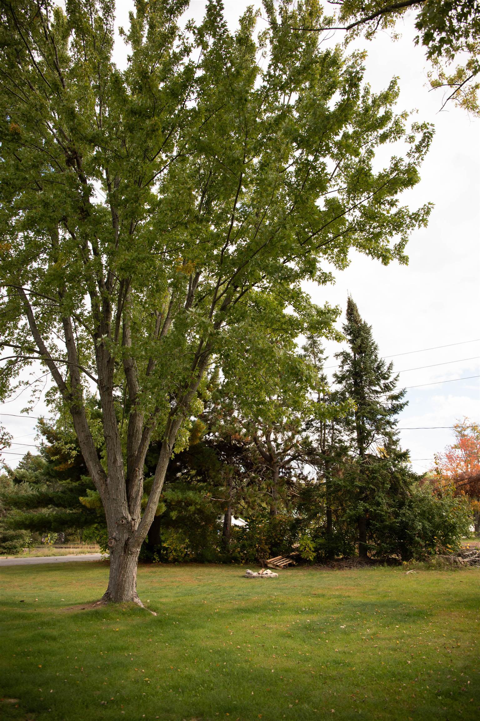 2709 Marthas Lane Property Photo 45