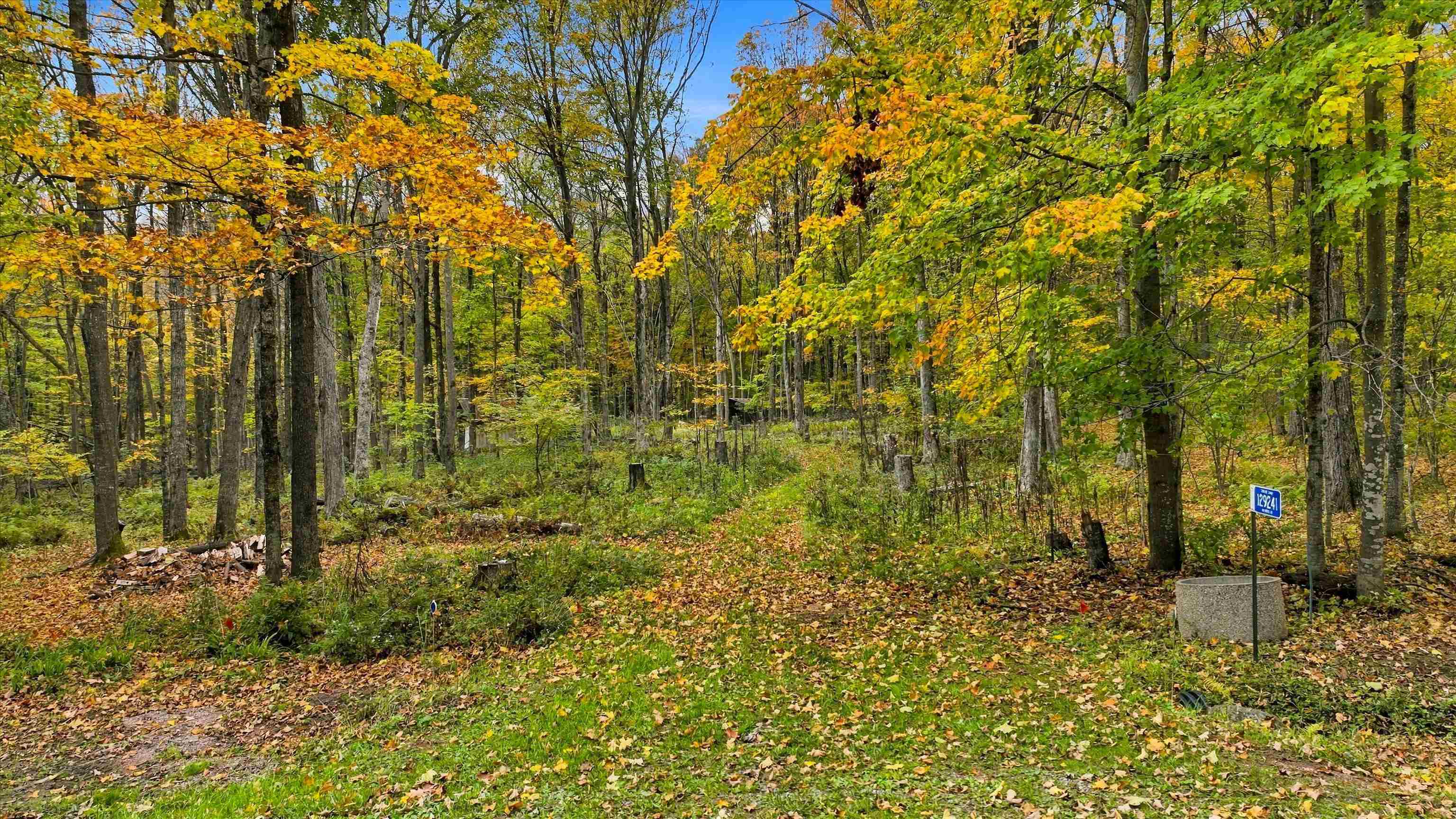 129241 Hillwood Road Property Photo 1
