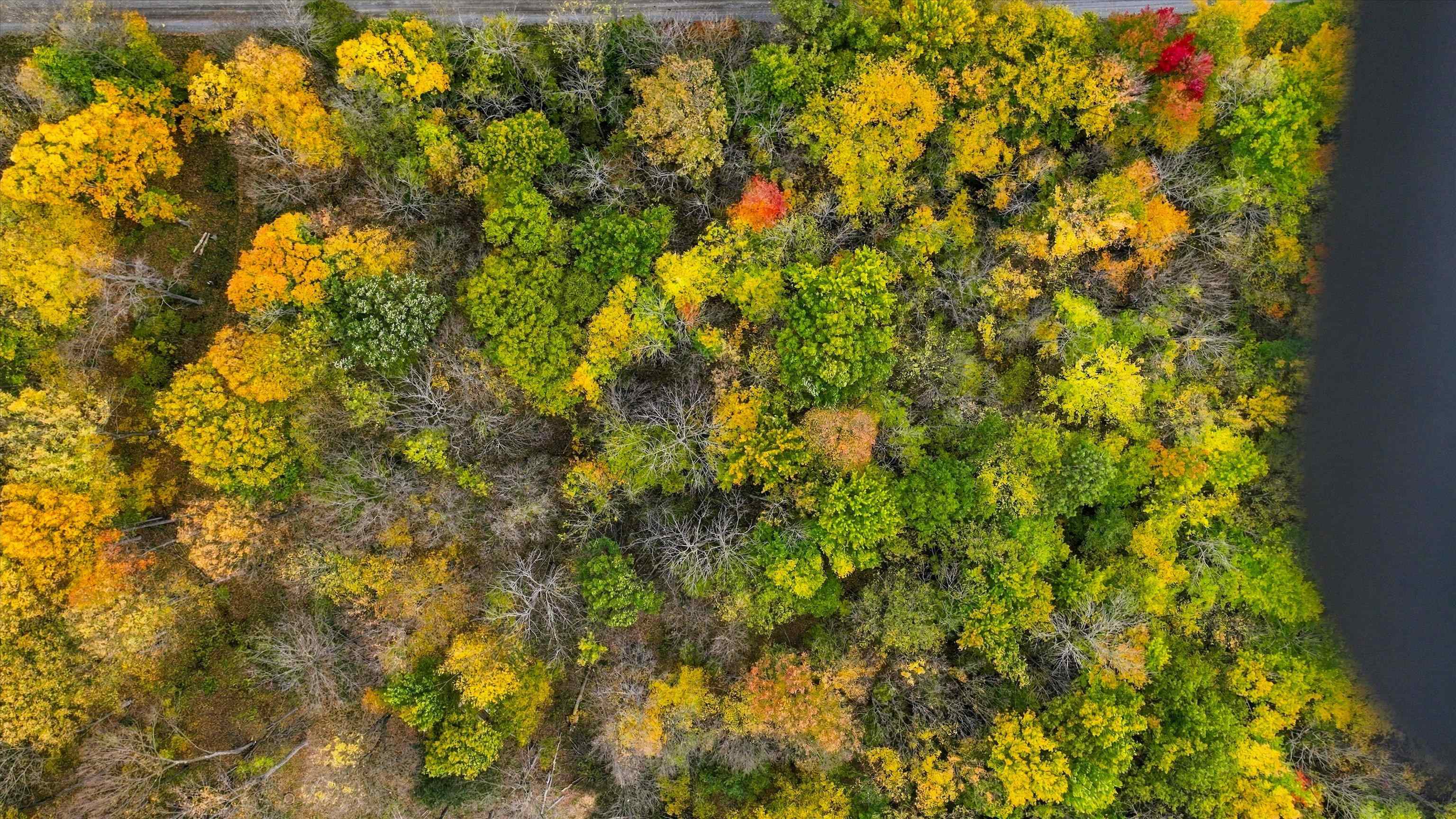 129241 Hillwood Road Property Photo 13