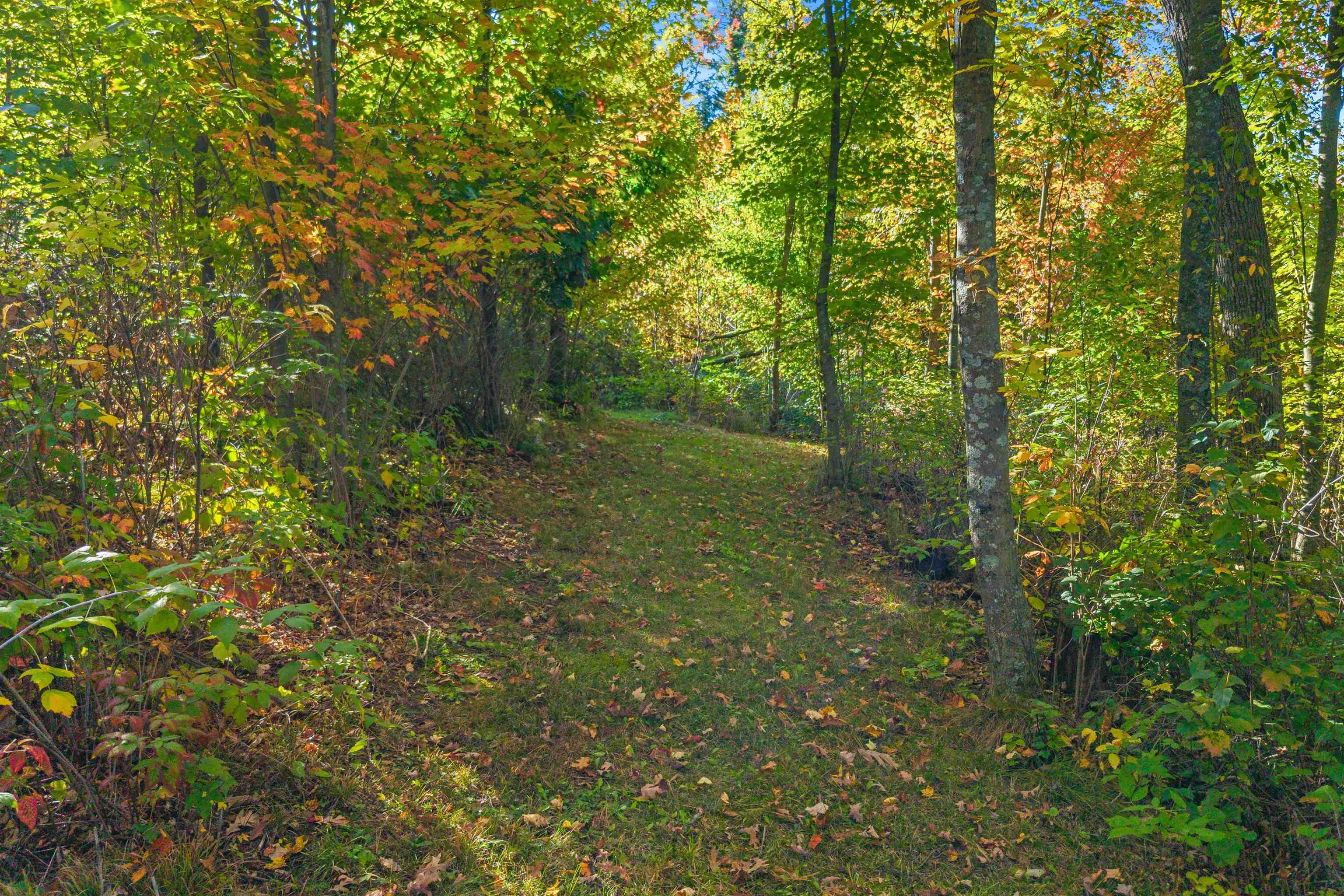 9620 Timberline Court Property Photo 44