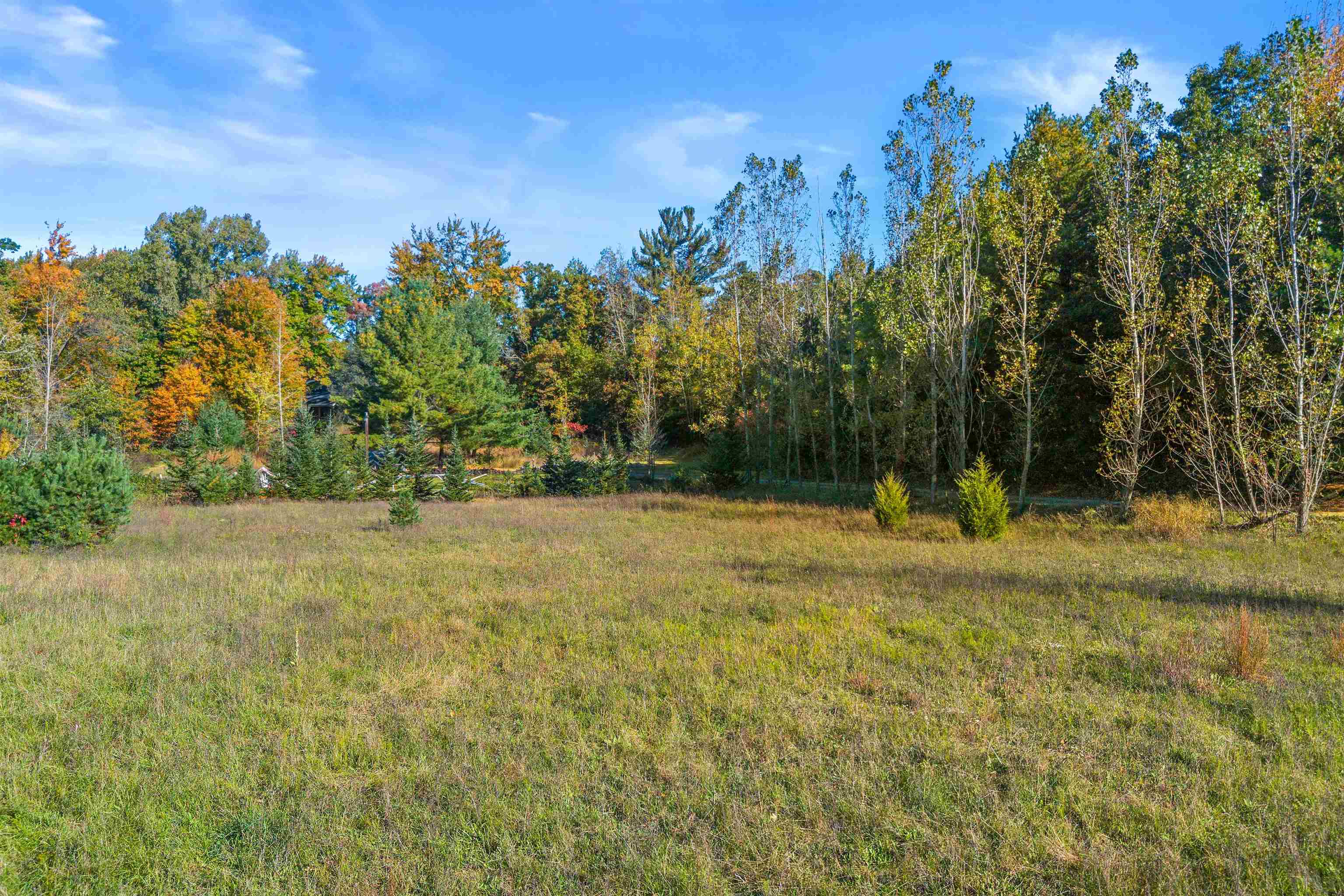 9620 Timberline Court Property Photo 46