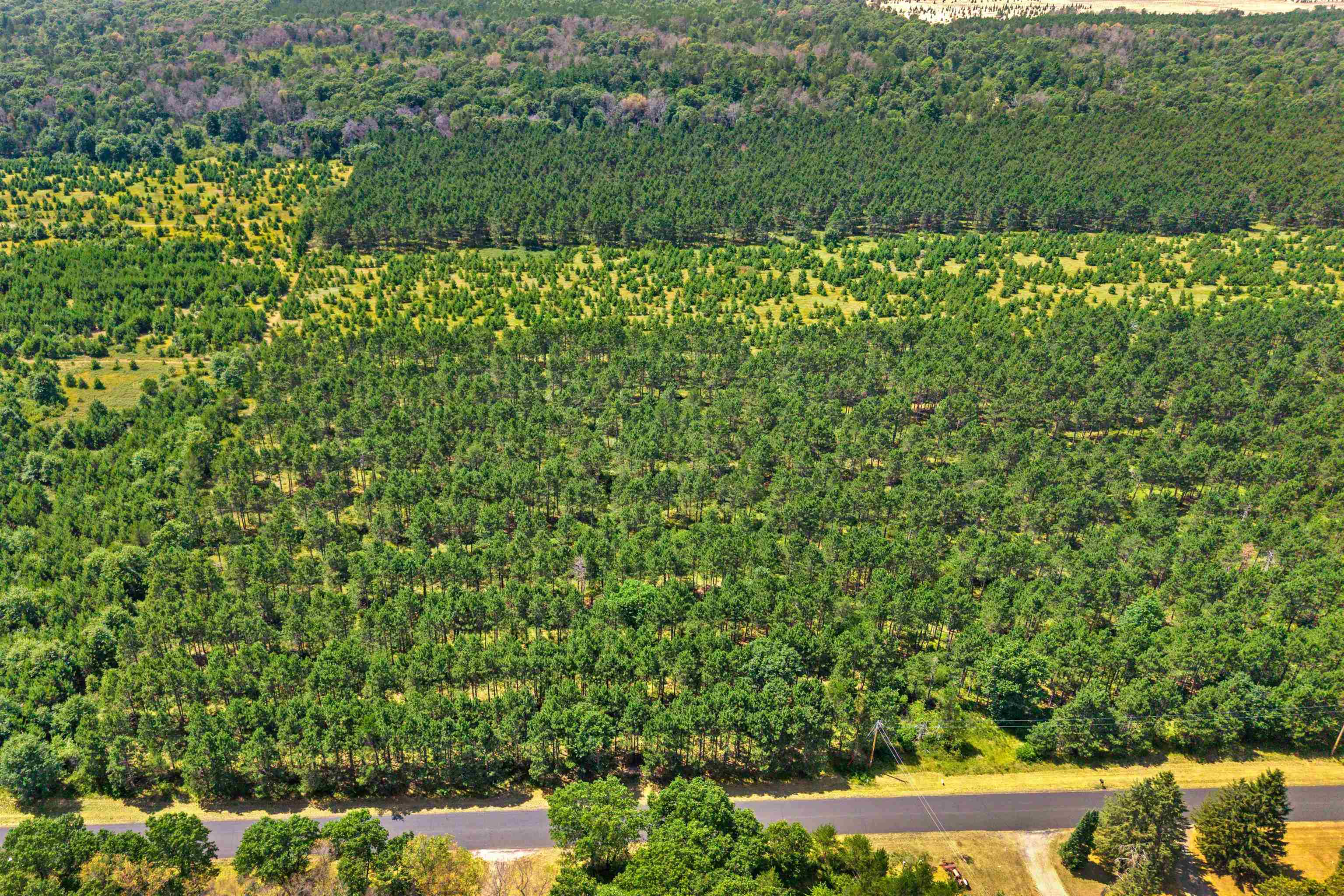 Lot 2, 10 Acres Bell Road Property Photo 5