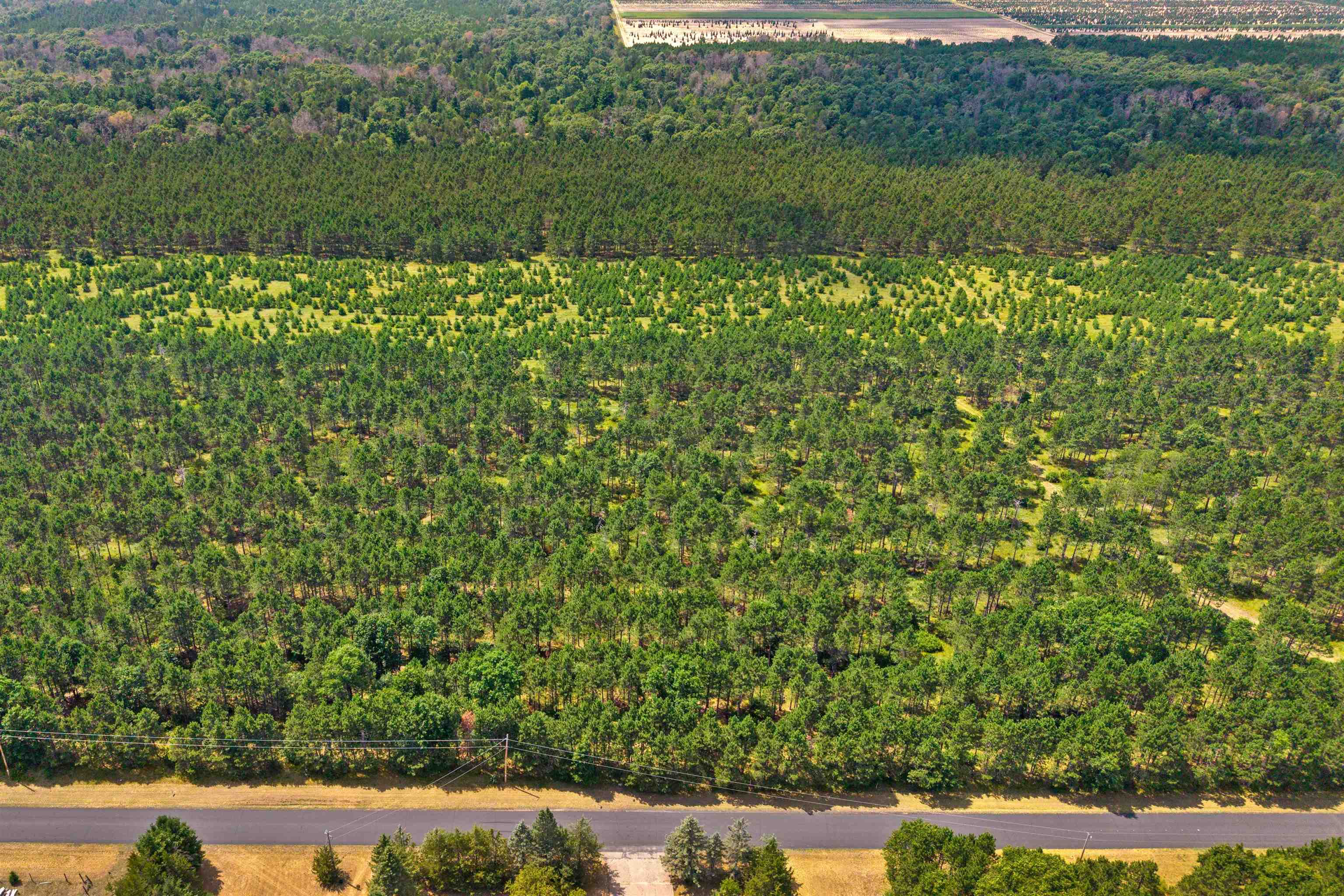 Lot 2, 10 Acres Bell Road Property Photo 8