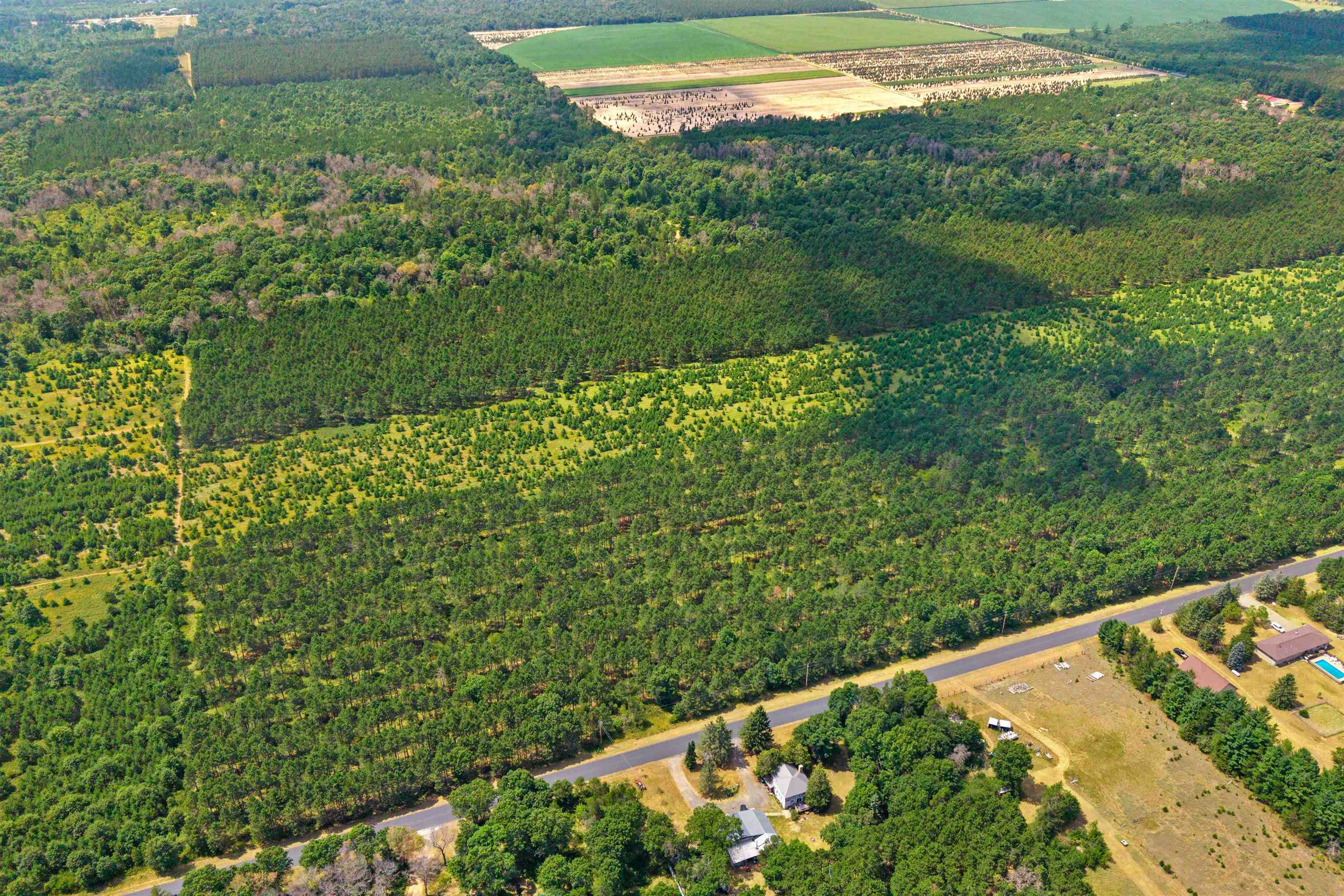 Lot 2, 10 Acres Bell Road Property Photo 10