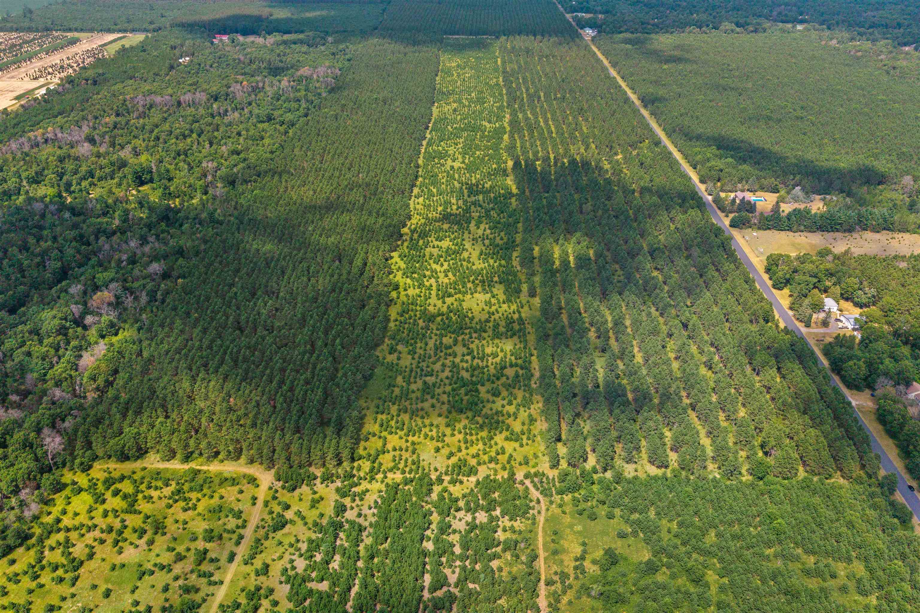 Lot 2, 10 Acres Bell Road Property Photo 12