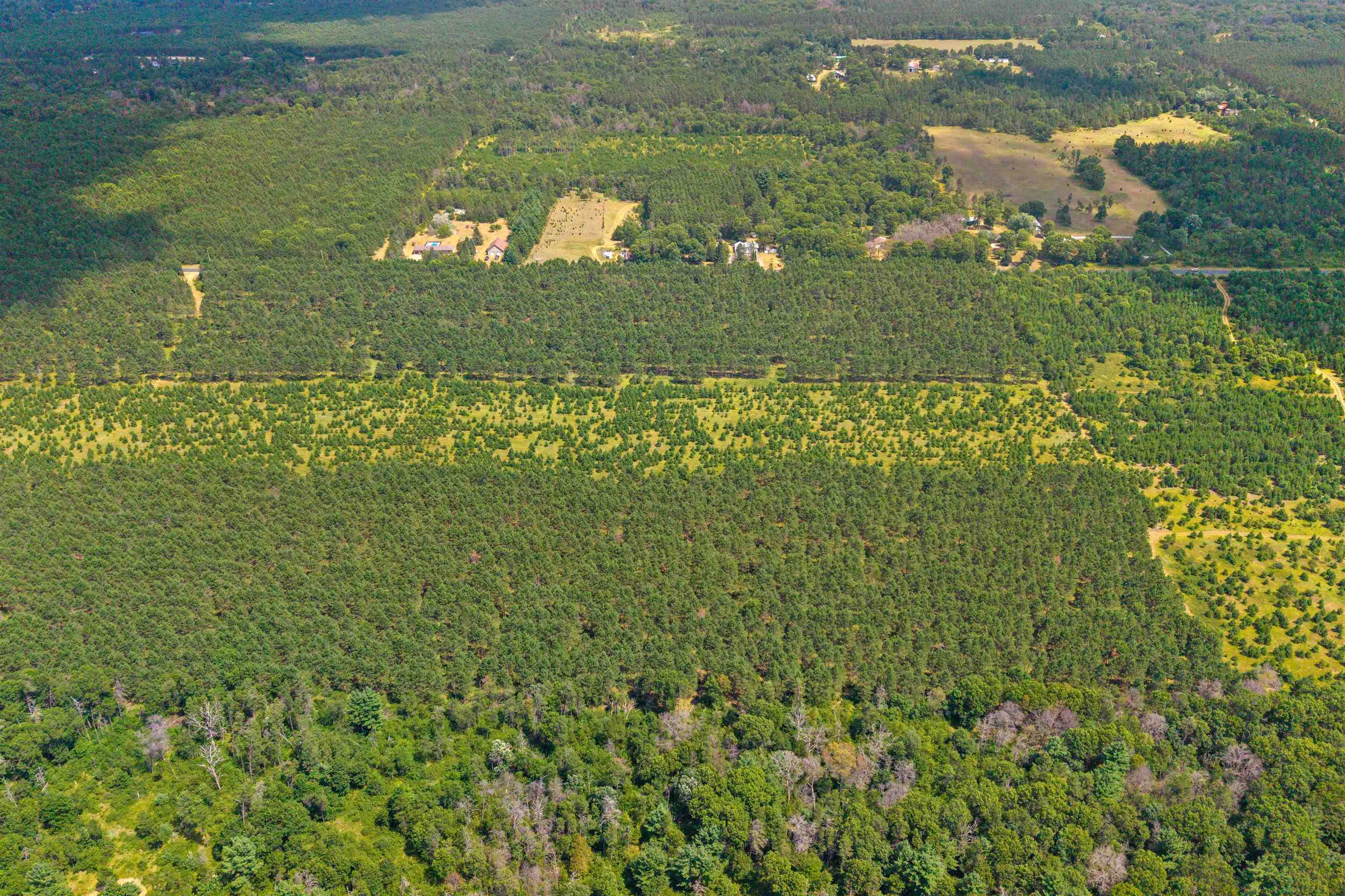 Lot 2, 10 Acres Bell Road Property Photo 14