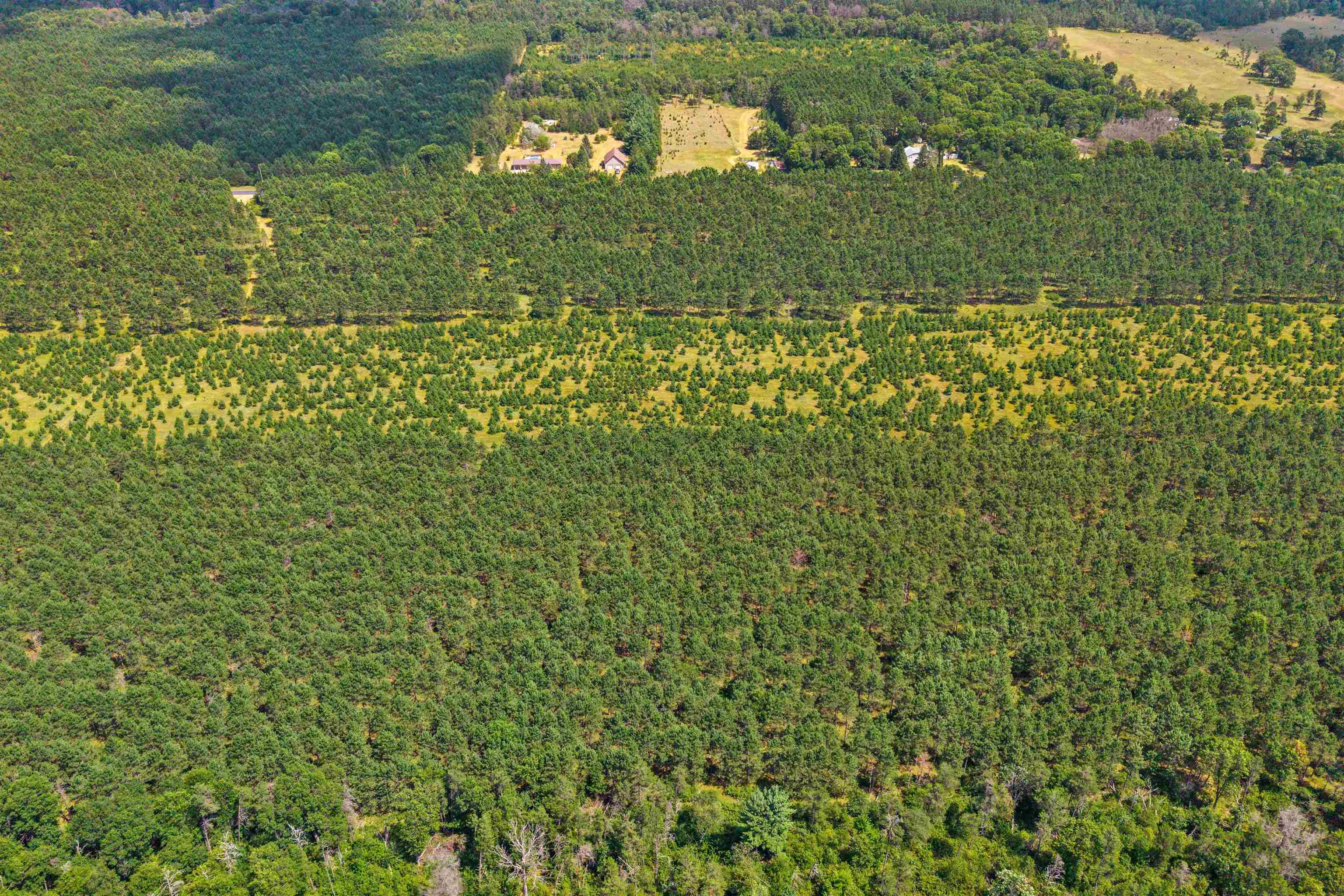 Lot 2, 10 Acres Bell Road Property Photo 15