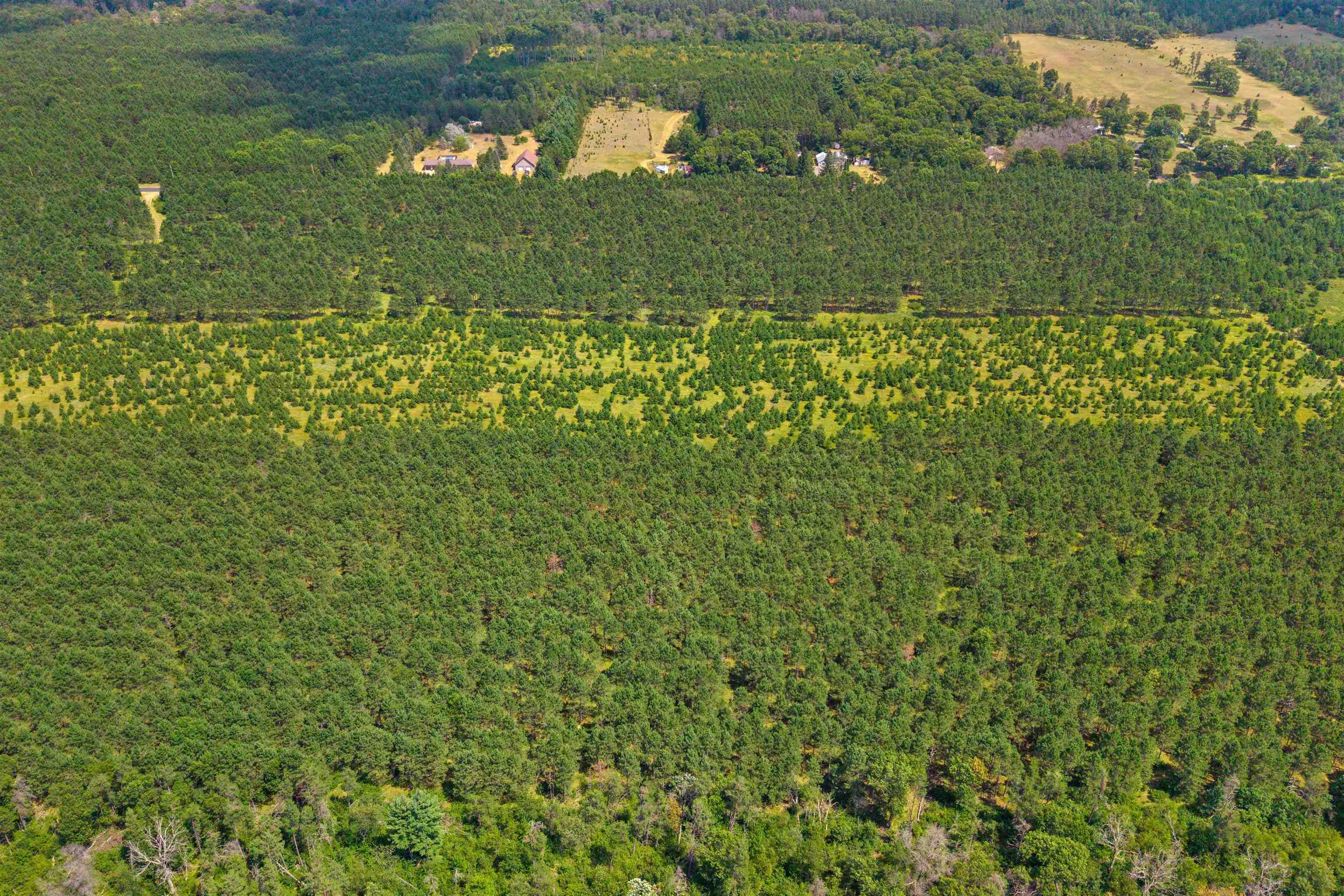 Lot 2, 10 Acres Bell Road Property Photo 16