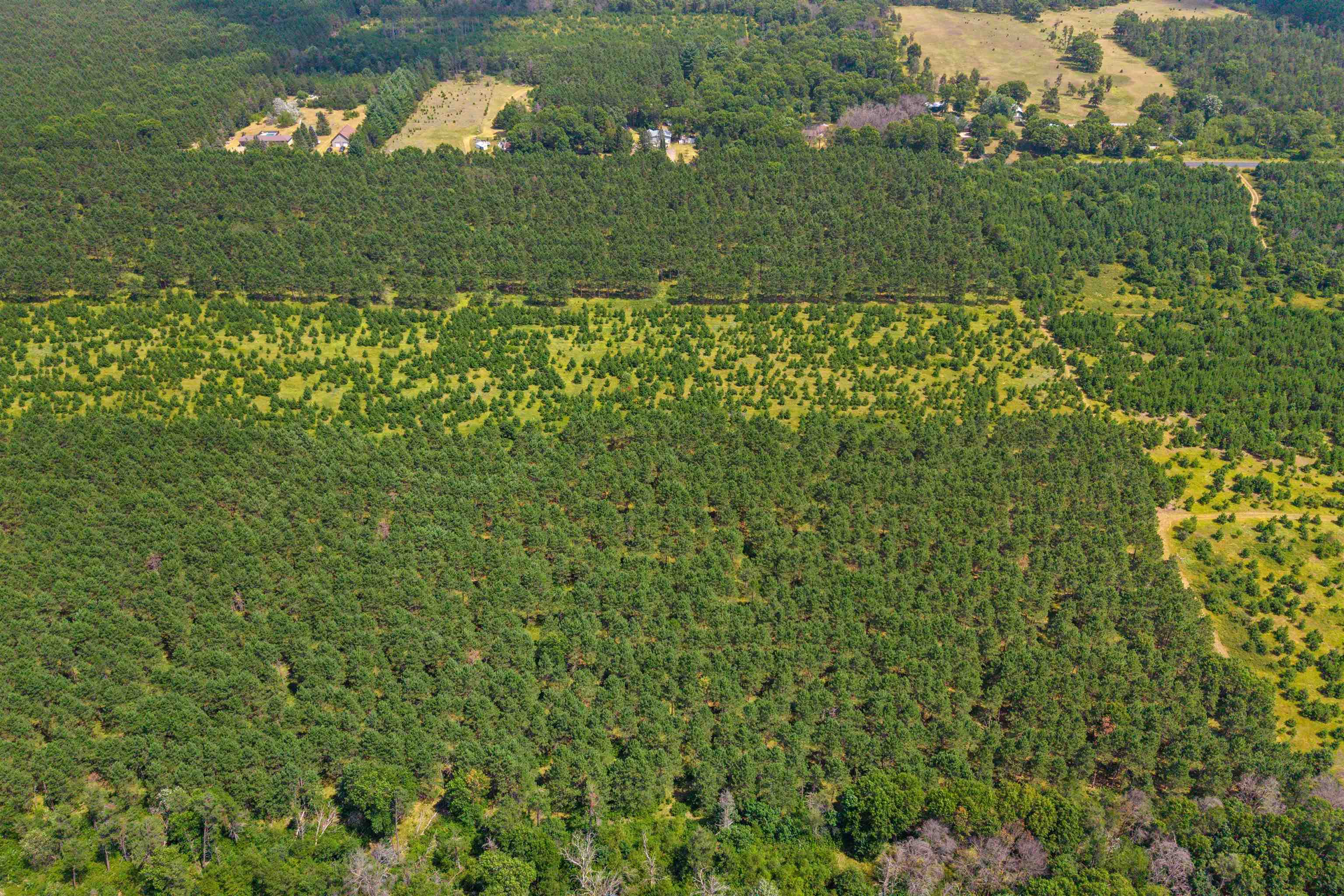 Lot 2, 10 Acres Bell Road Property Photo 17