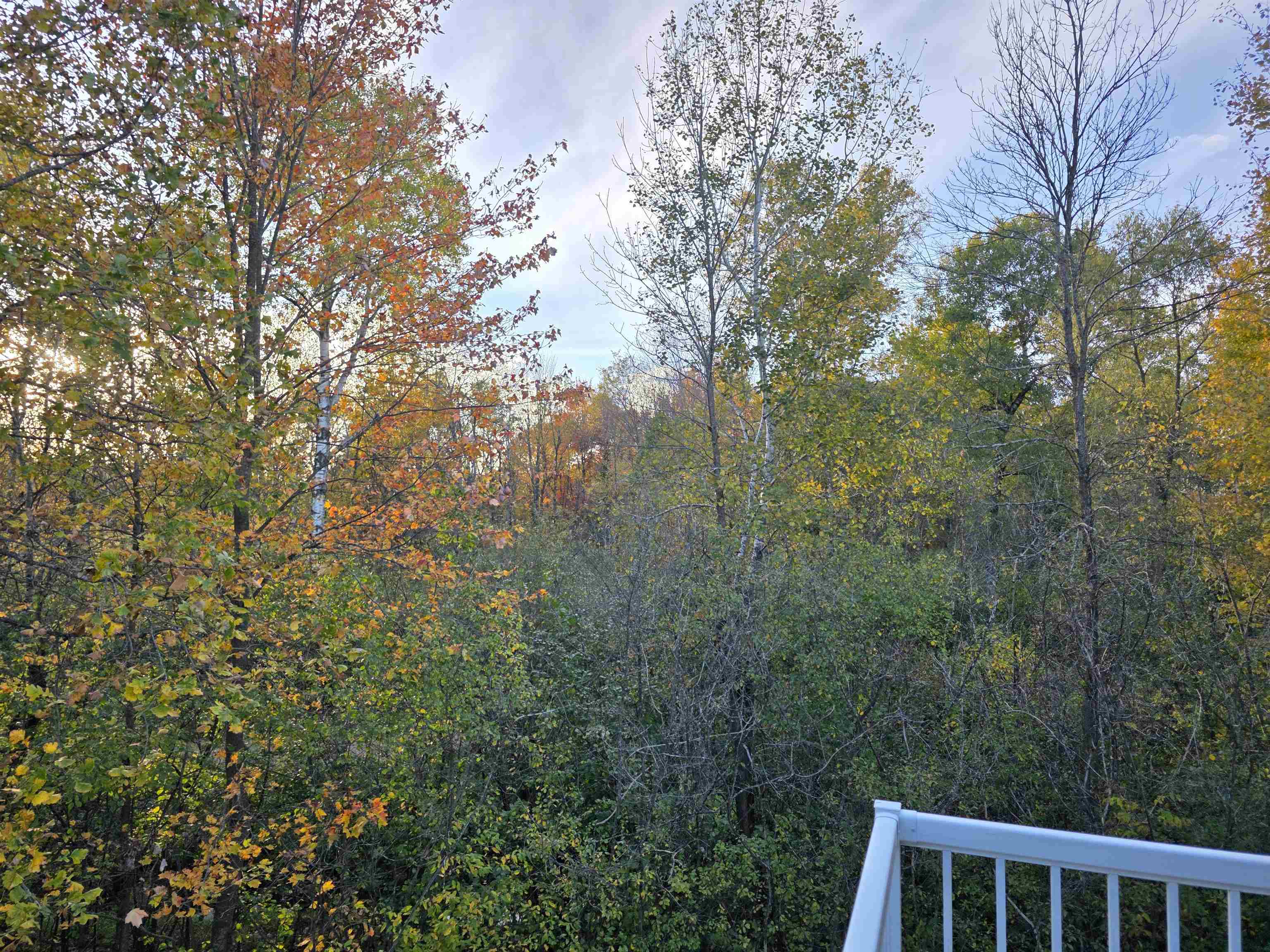 6902 River Trail Drive Property Photo 20