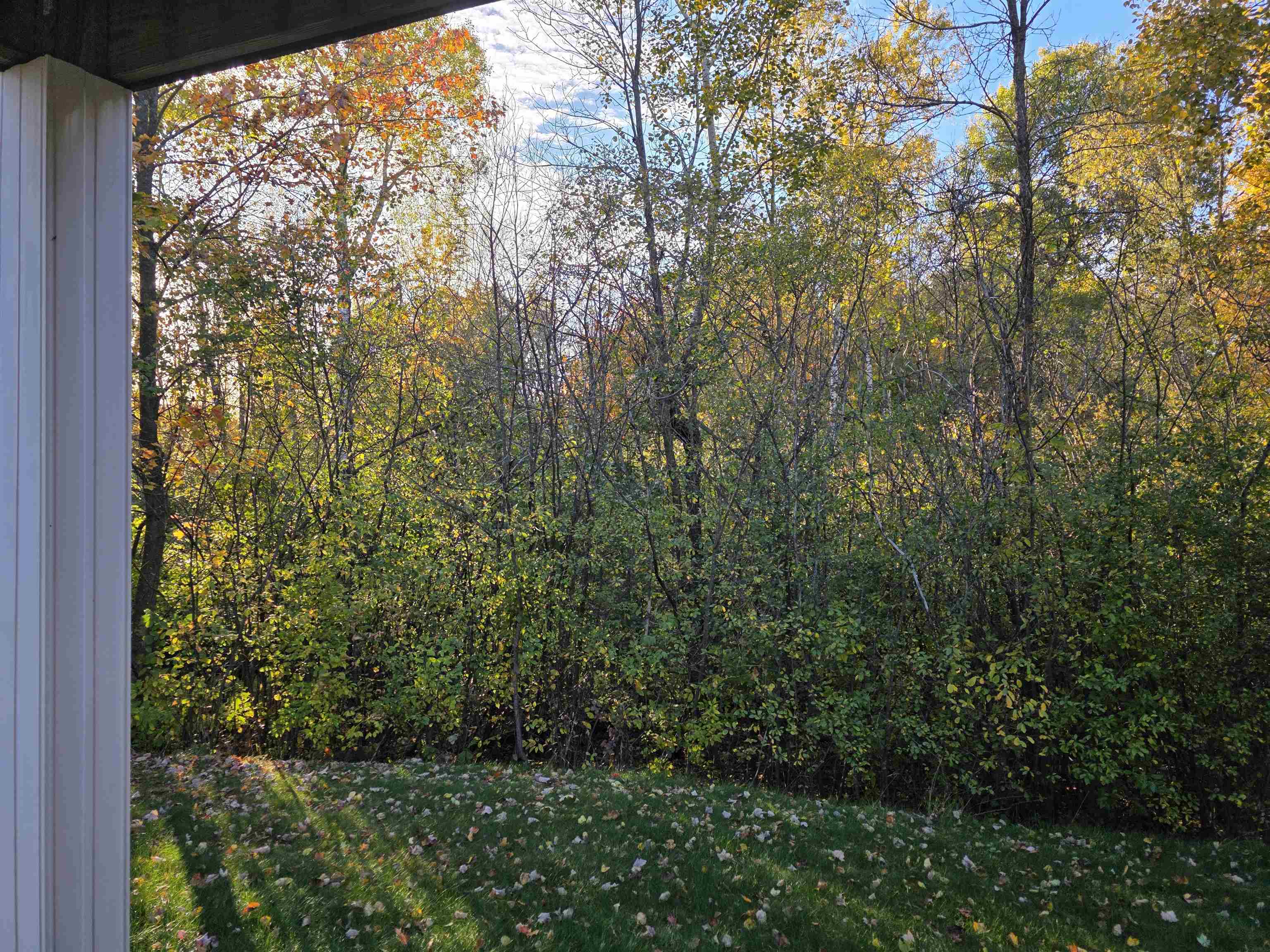 6902 River Trail Drive Property Photo 45