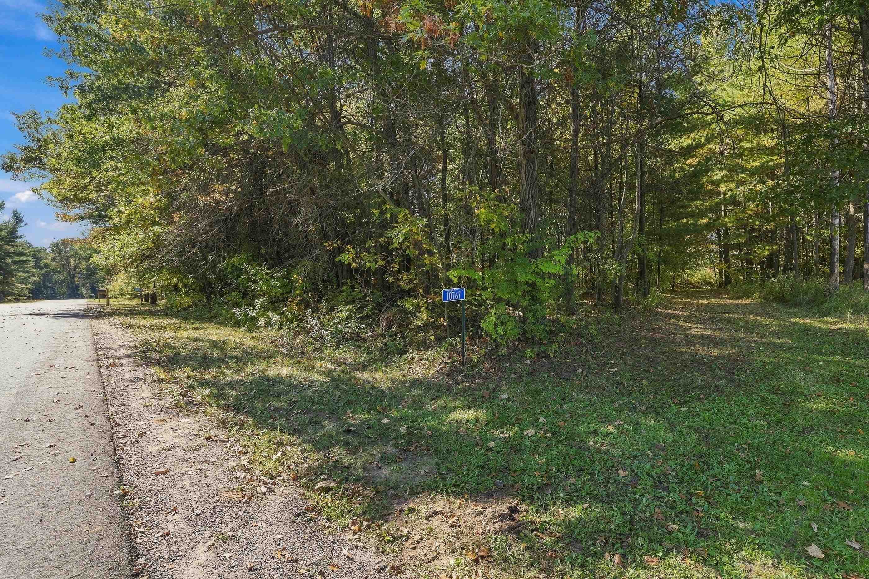 10767 Sandy Spring Drive Property Photo 3