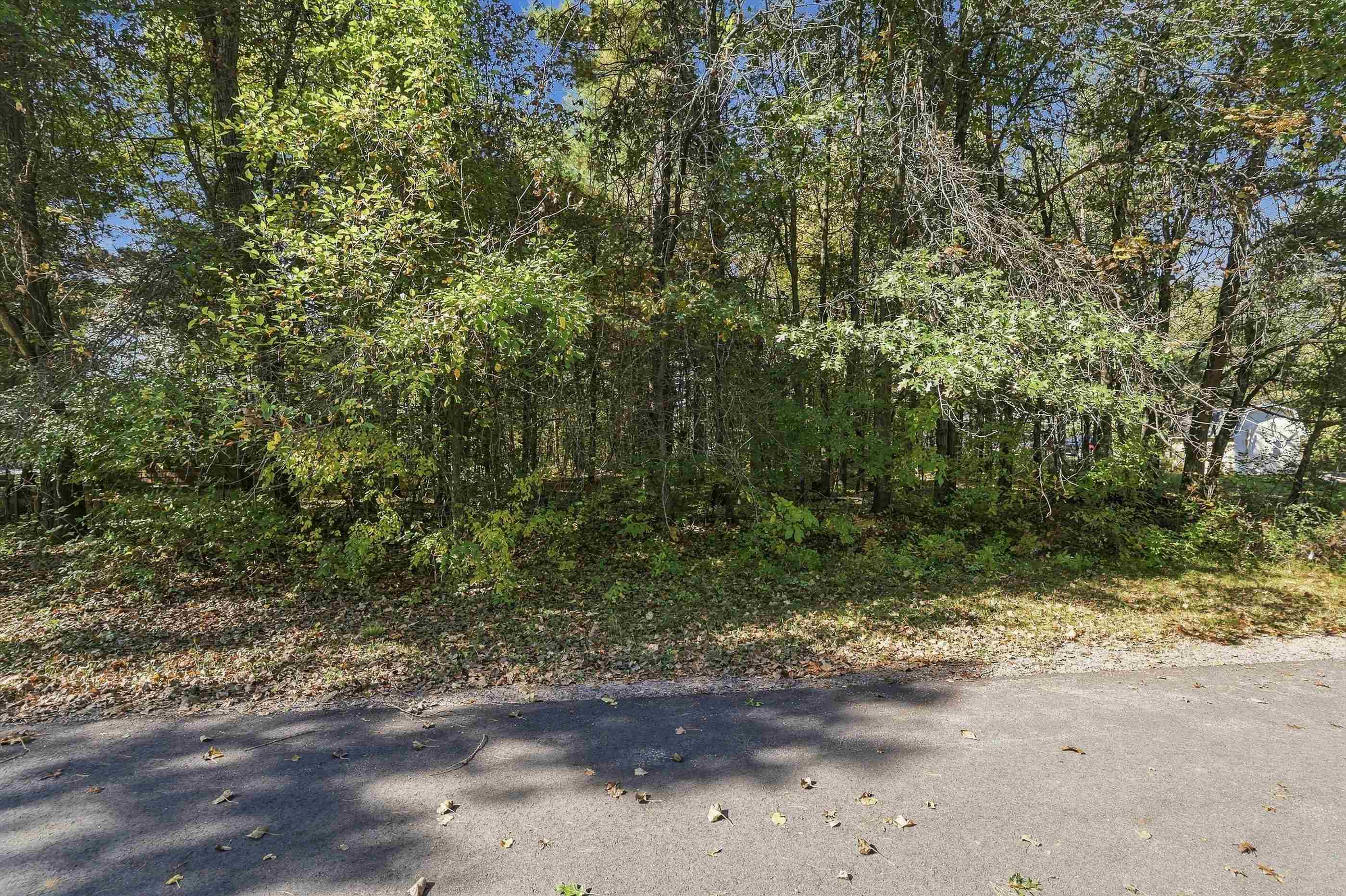 10767 Sandy Spring Drive Property Photo 4
